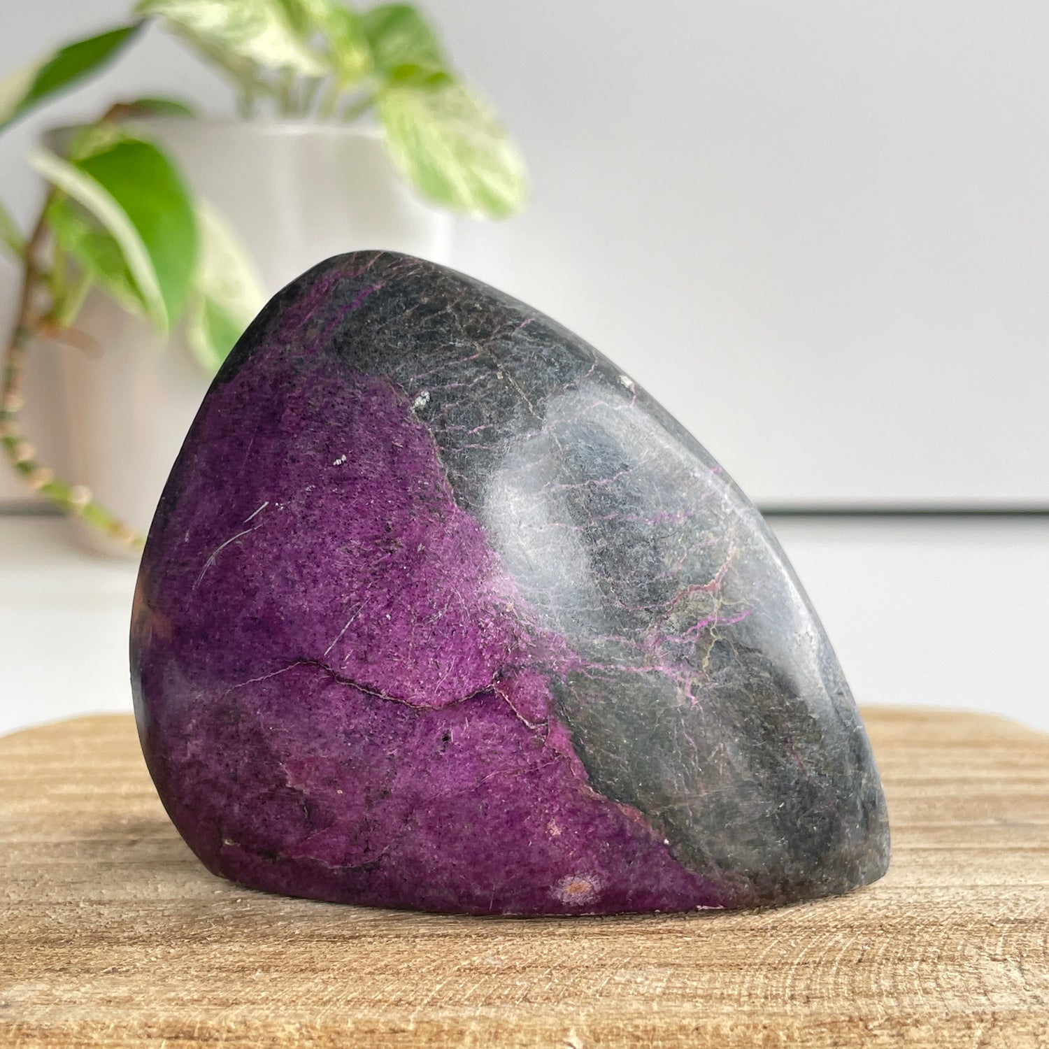 Stichtite In Serpentine ( Atlantisite ) Freeform 6.6cm