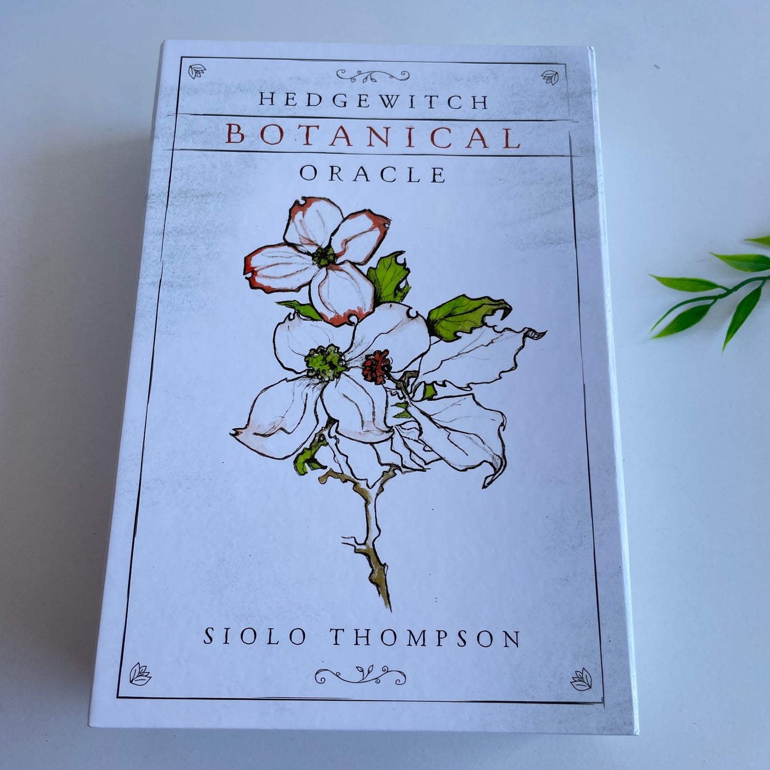 Hedgewitch Botanical Oracle Siolo Thompson