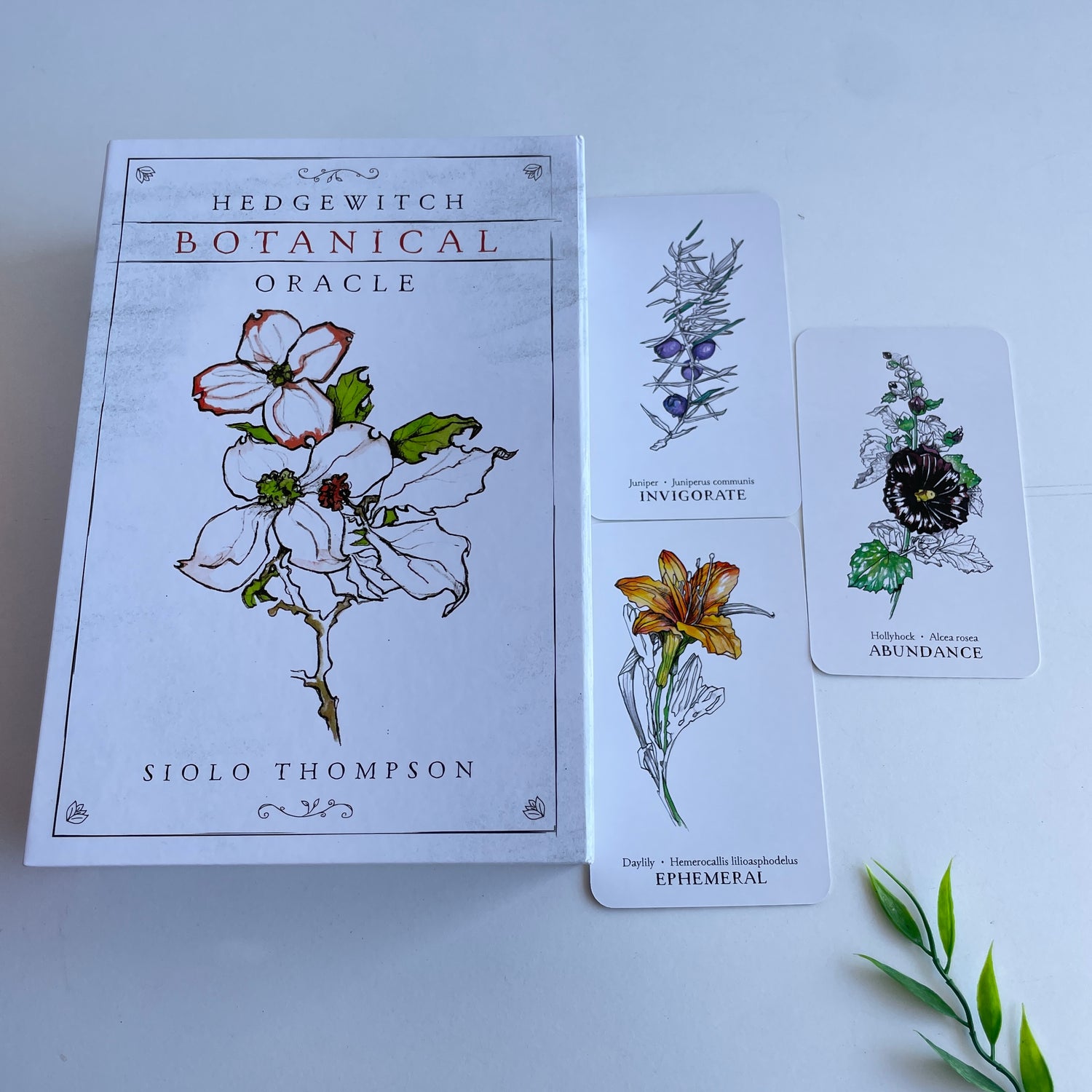 Hedgewitch Botanical Oracle Siolo Thompson