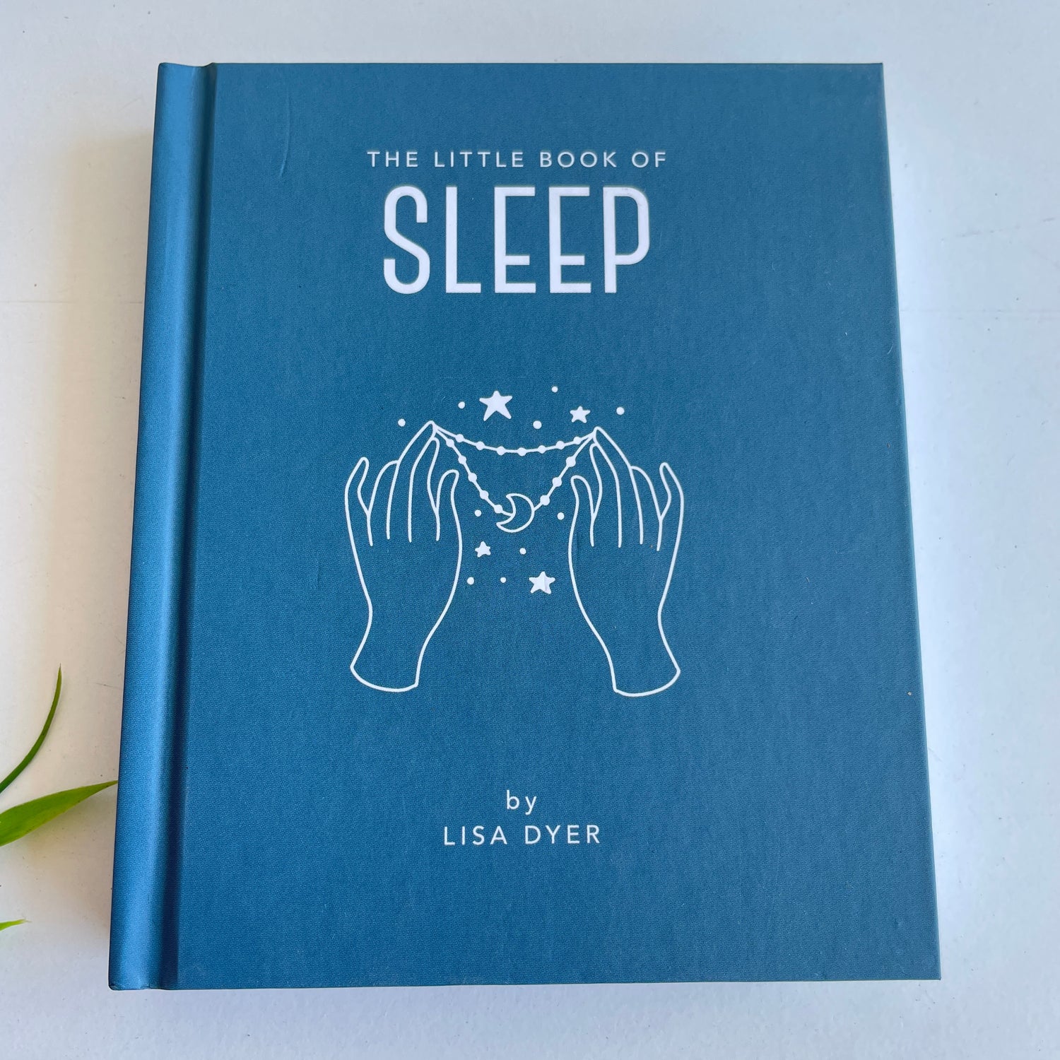 Little Book Of Sleep Lisa Dyer