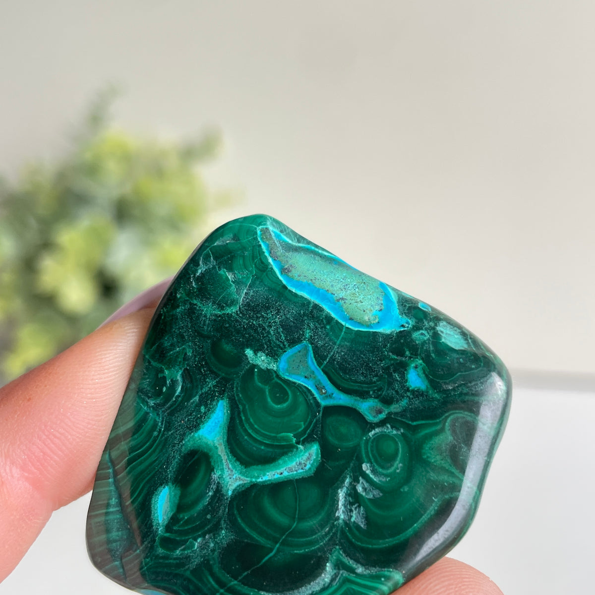 Malachite & Chrysocolla Freeform 58g