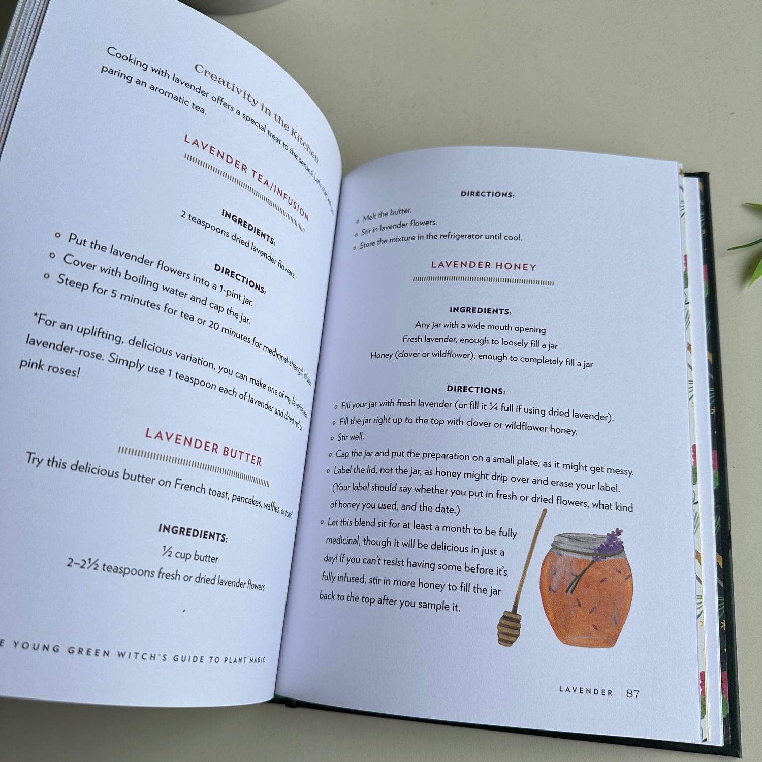 The Young Green Witch's Guide To Plant Magic Robin Rose Bennett