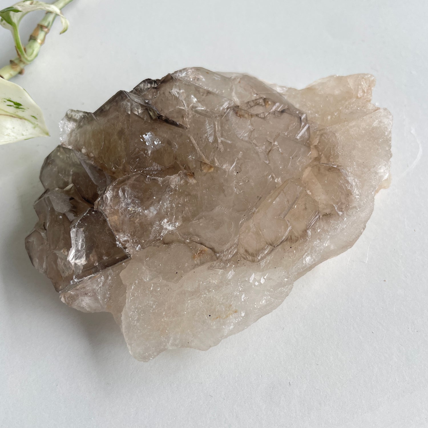 Smoky Quartz Elestial 270g
