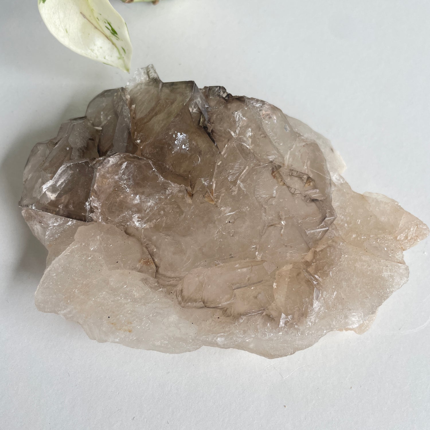 Smoky Quartz Elestial 270g
