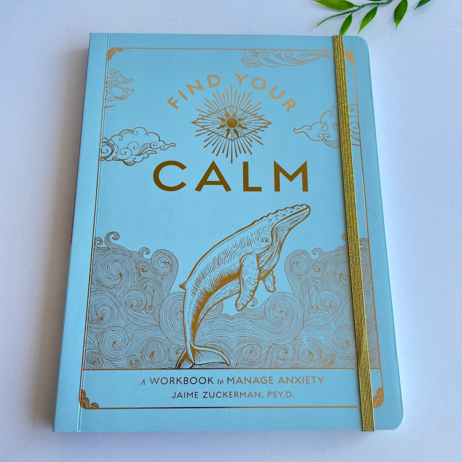 Find Your Calm Workbook Jaime Zuckerman