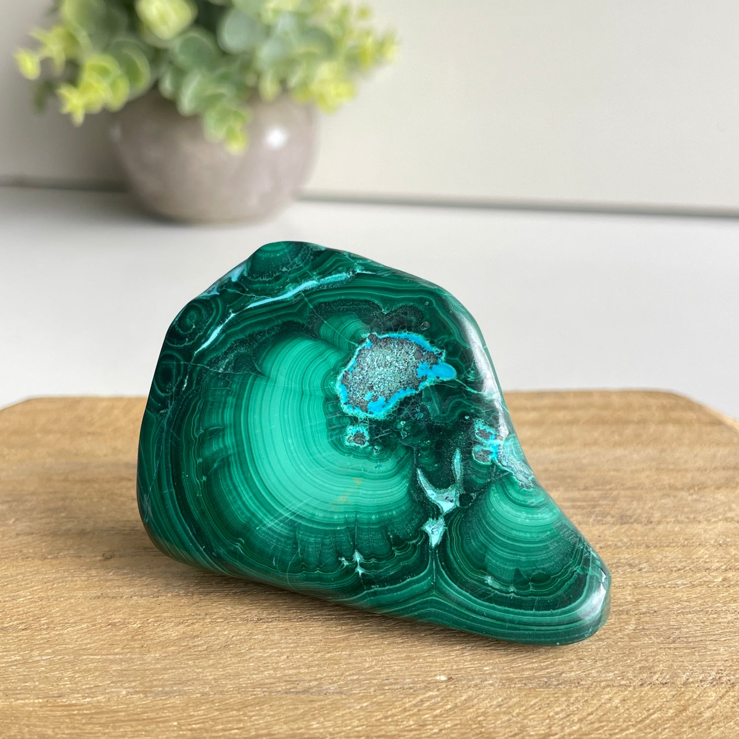 Malachite & Chrysocolla Freeform 104g