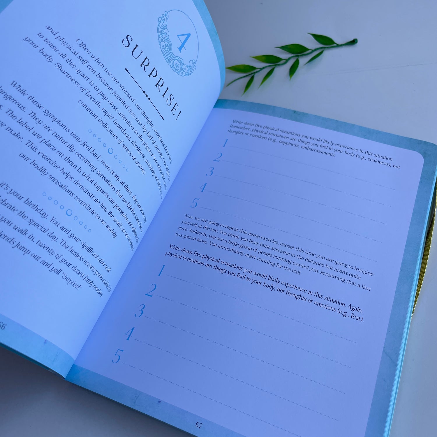 Find Your Calm Workbook Jaime Zuckerman