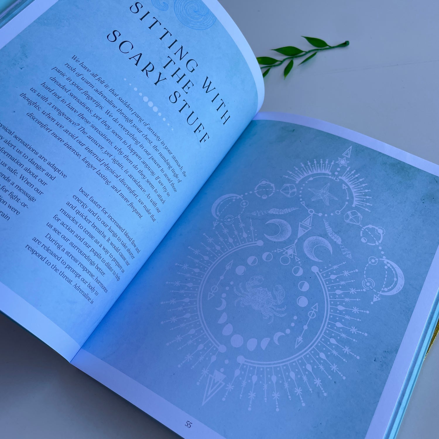 Find Your Calm Workbook Jaime Zuckerman