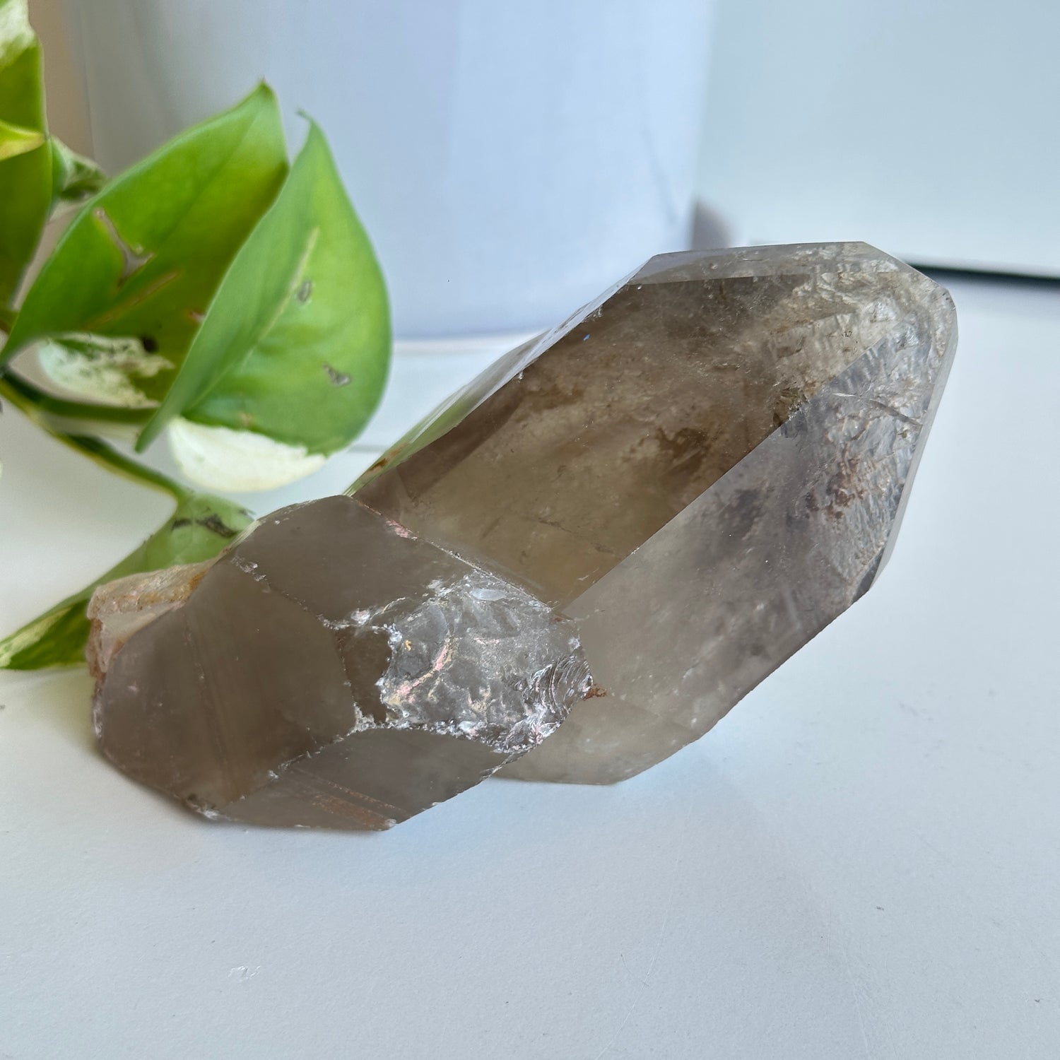 Smoky Citrine Pce 478g
