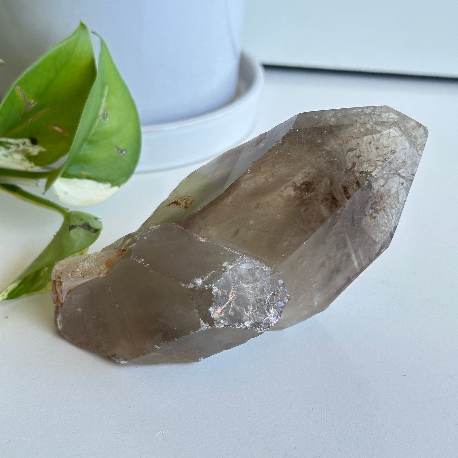Smoky Citrine Pce 478g