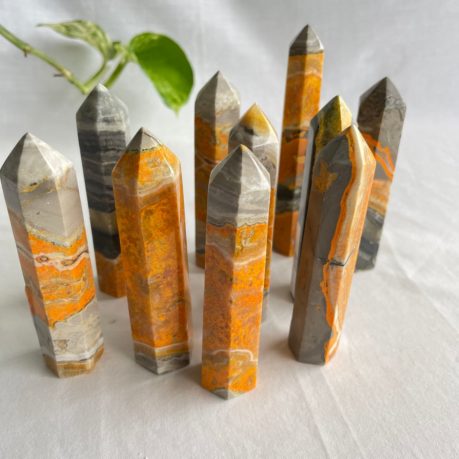 Bumblebee Jasper Generator Assorted