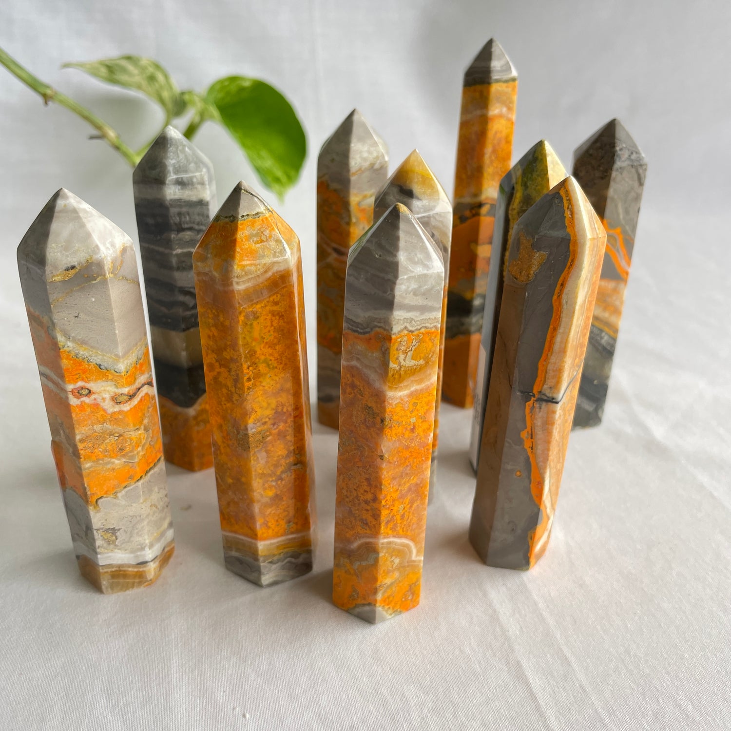 Bumblebee Jasper Generator Assorted