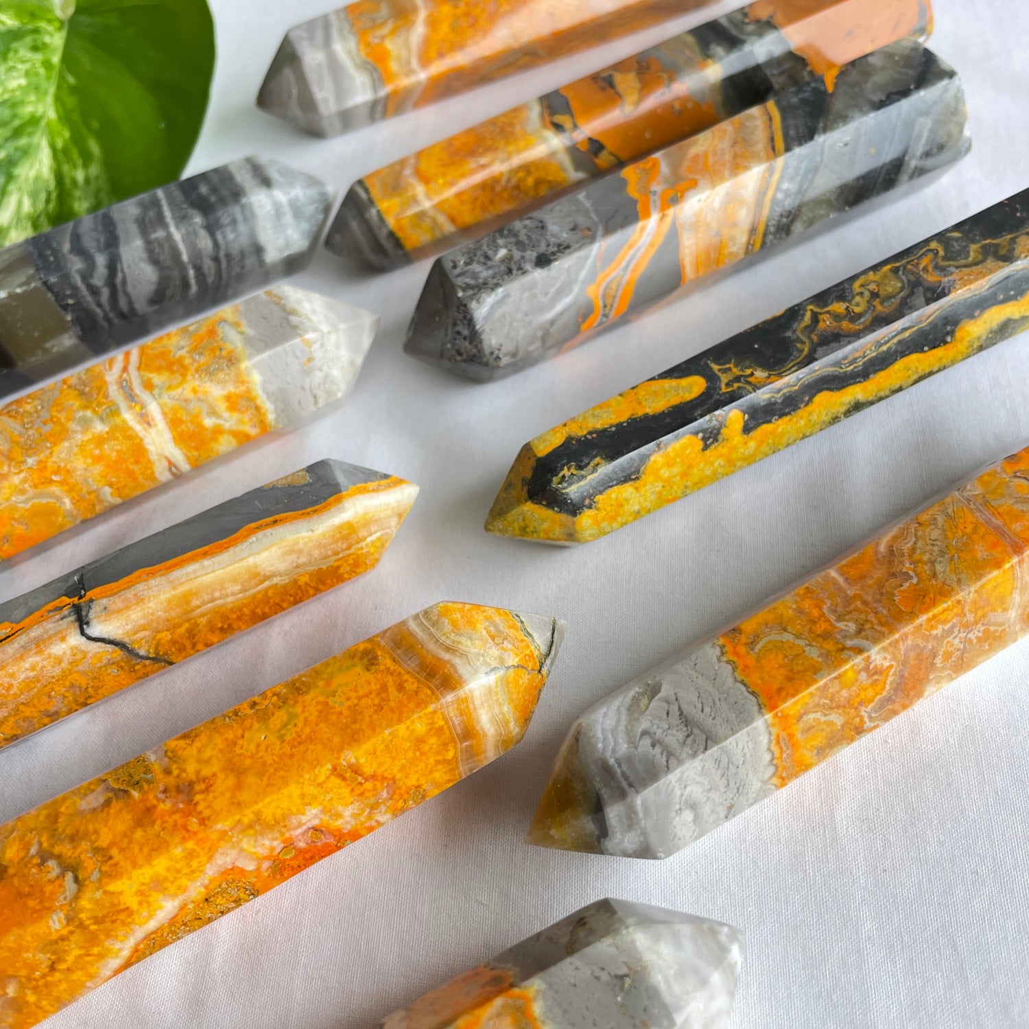 Bumblebee Jasper Generator Assorted