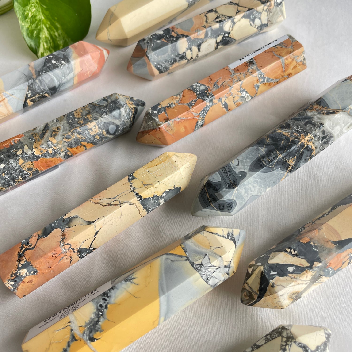 Maligano Jasper Generator Assorted