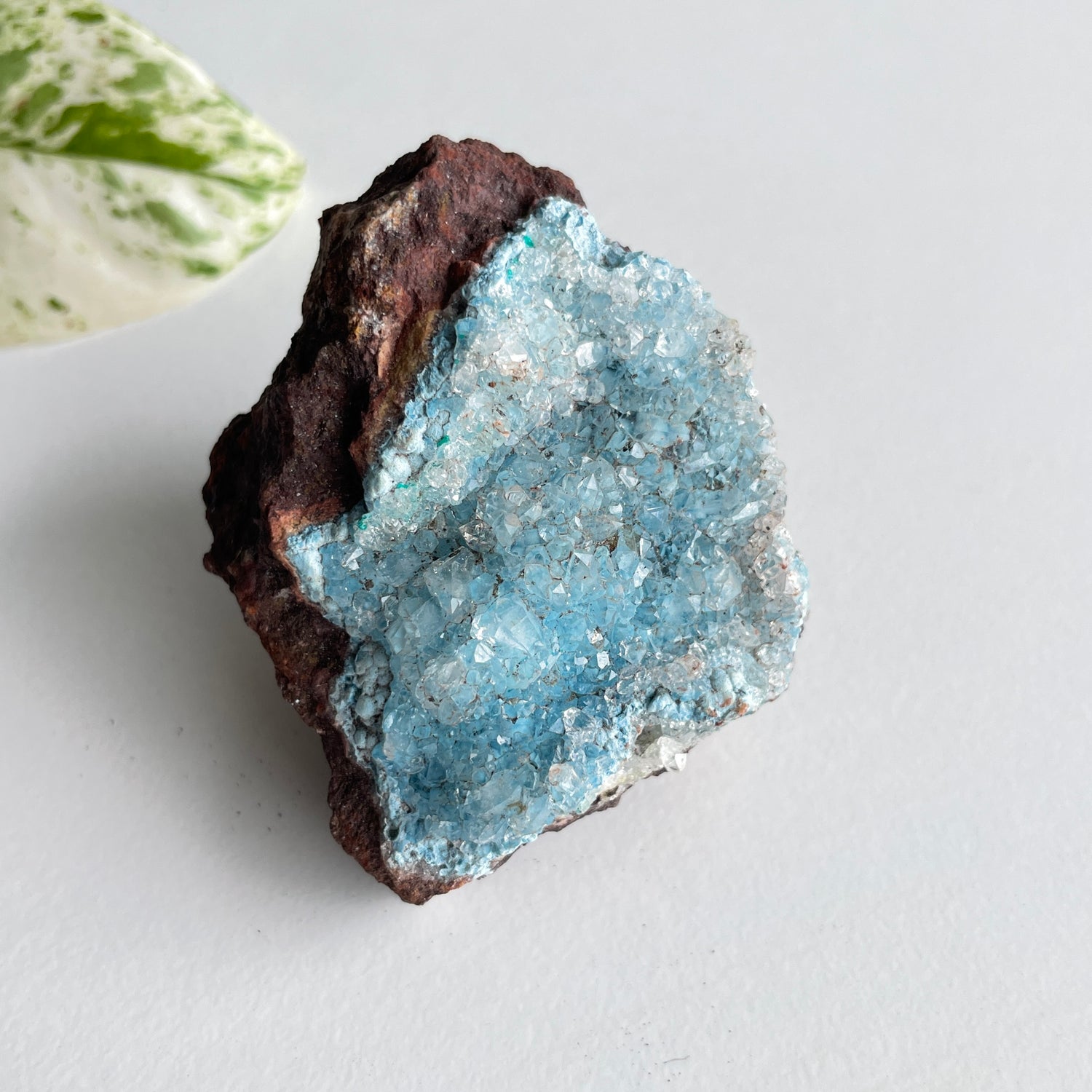 Dioptase & Shattuckite - High Quality 106g
