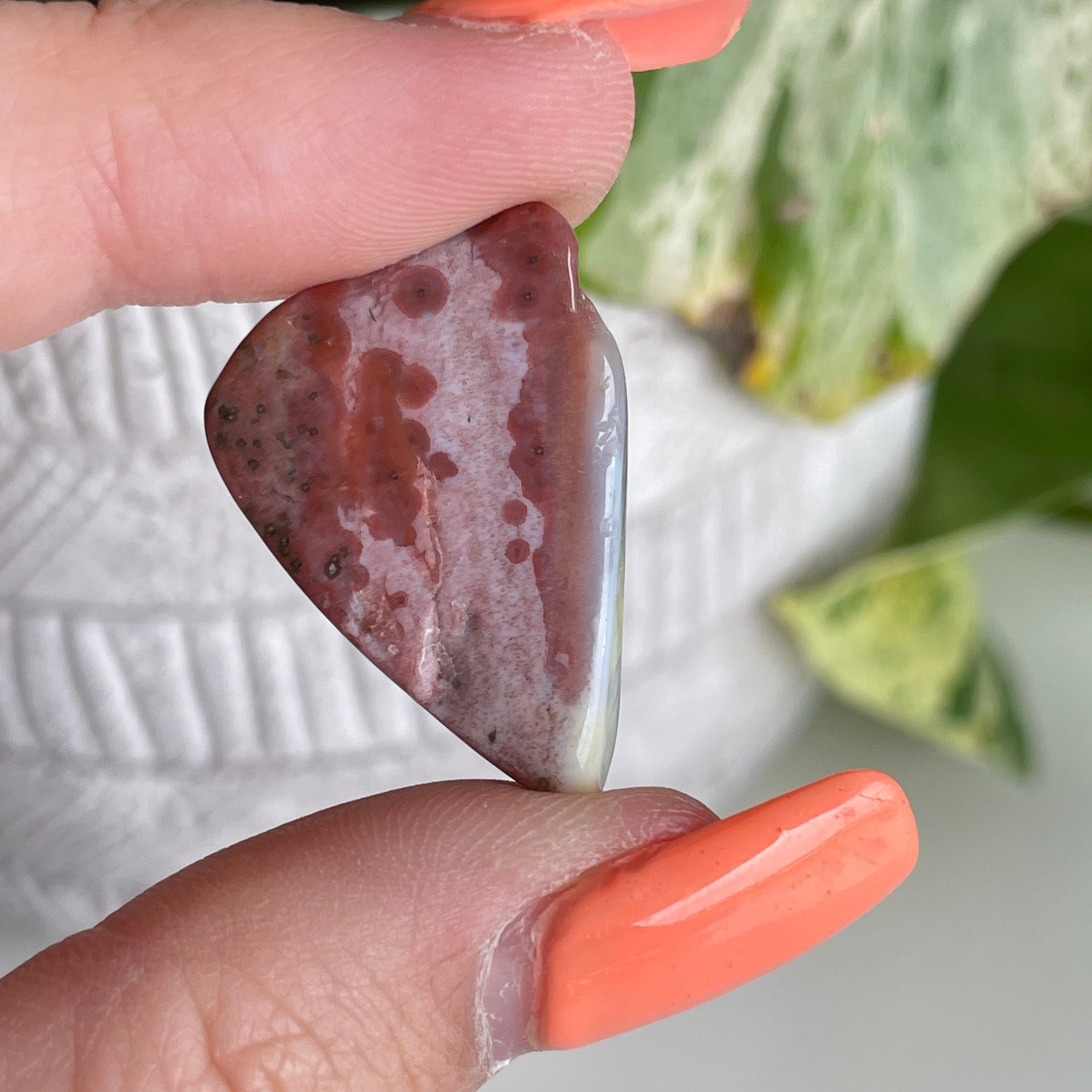 Ocean Jasper Pc 001