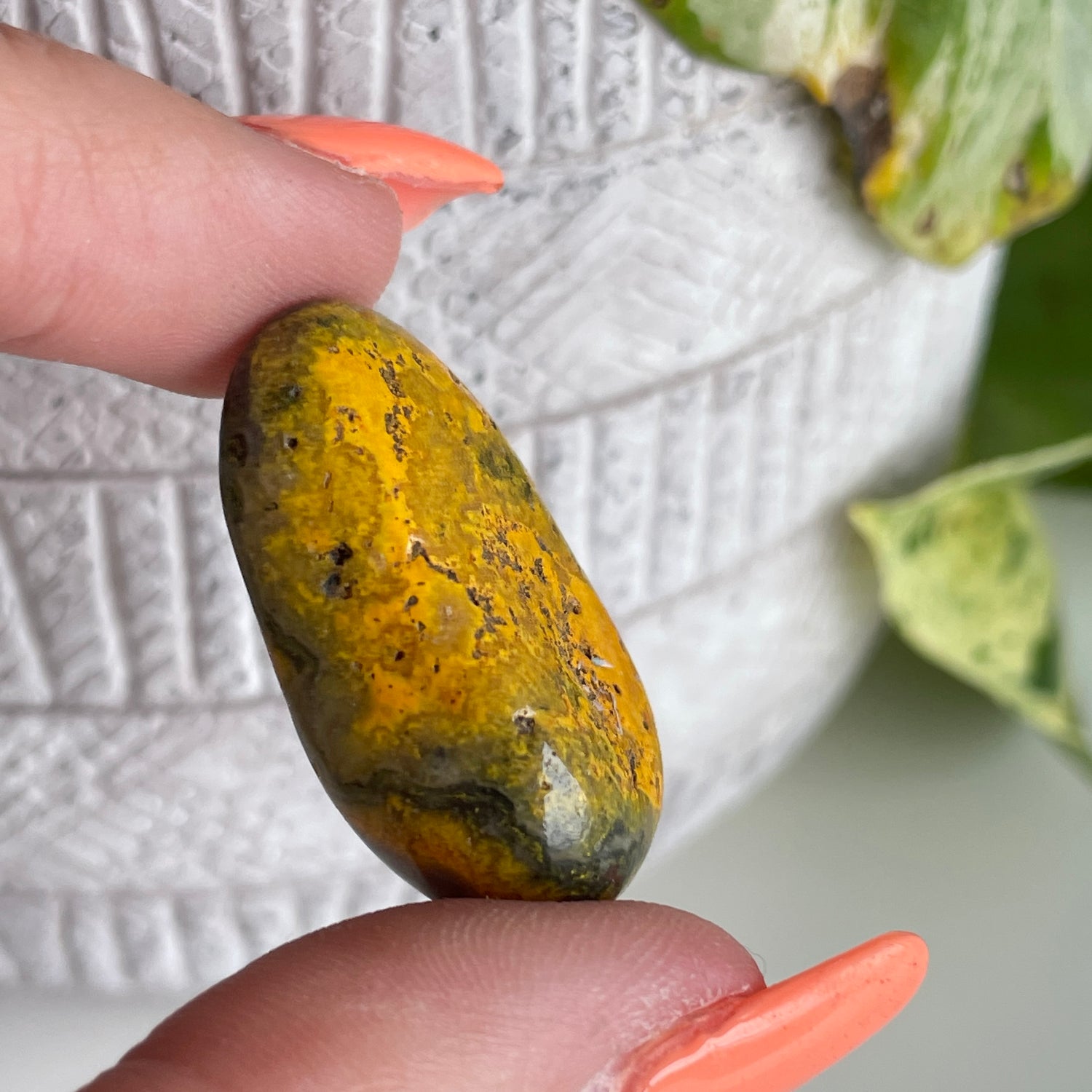 Bumblebee Jasper Pc 002