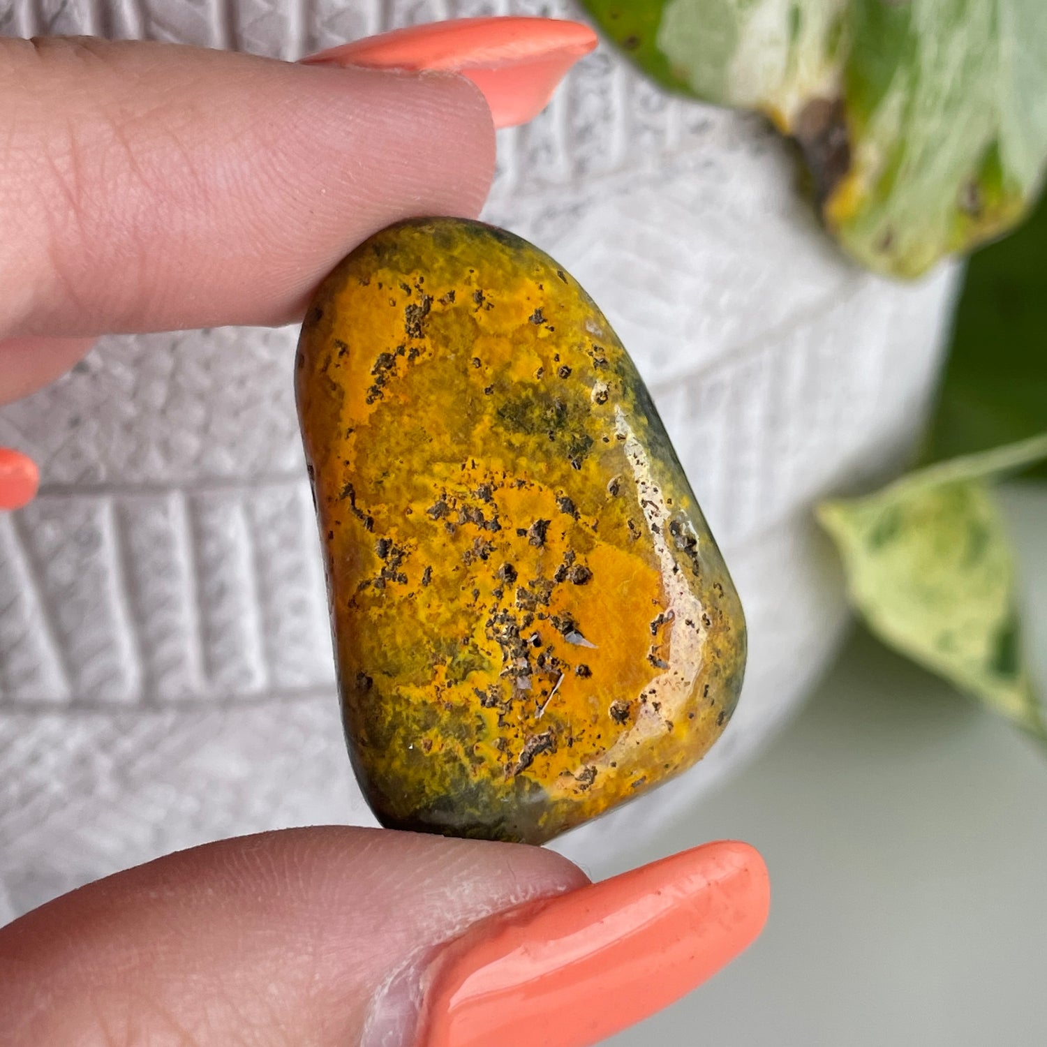 Bumblebee Jasper Pc 002