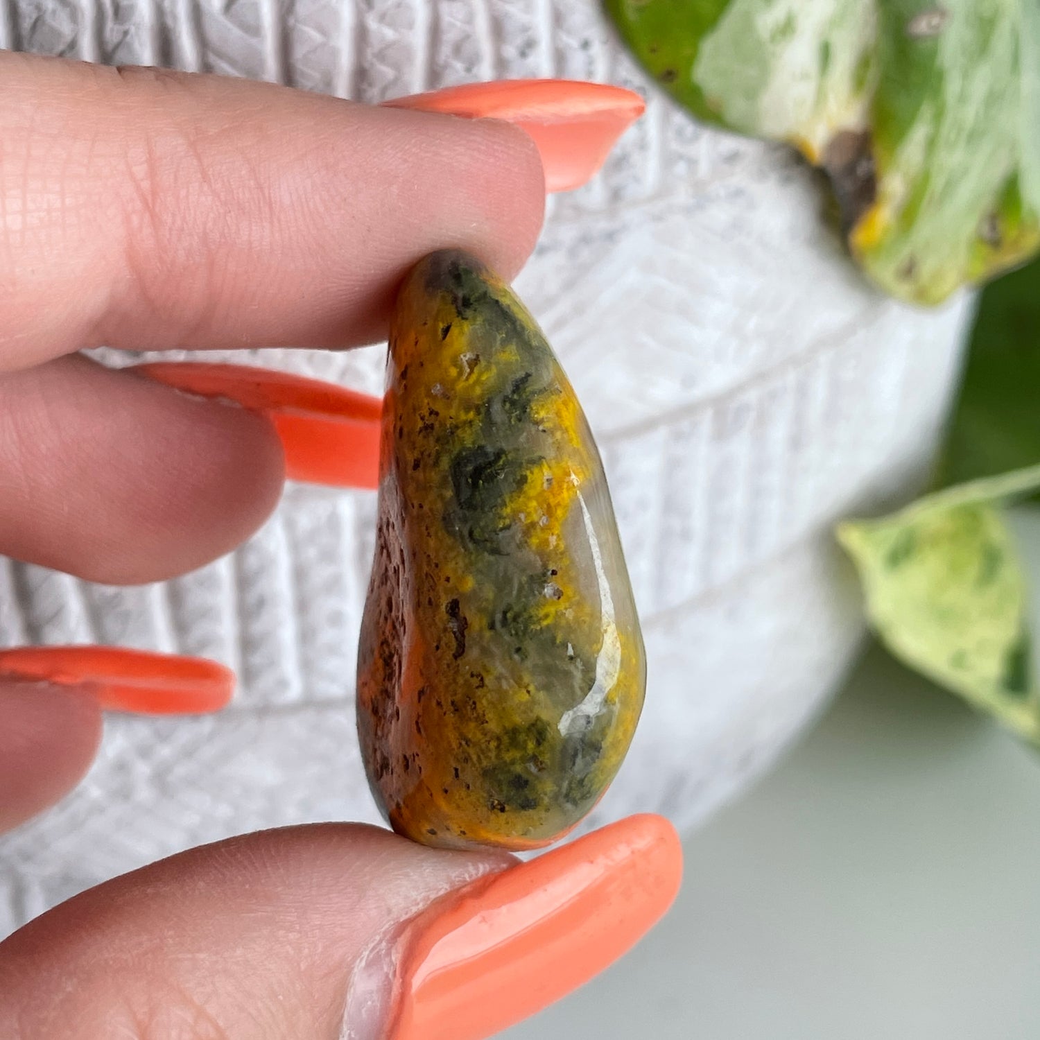 Bumblebee Jasper Pc 002