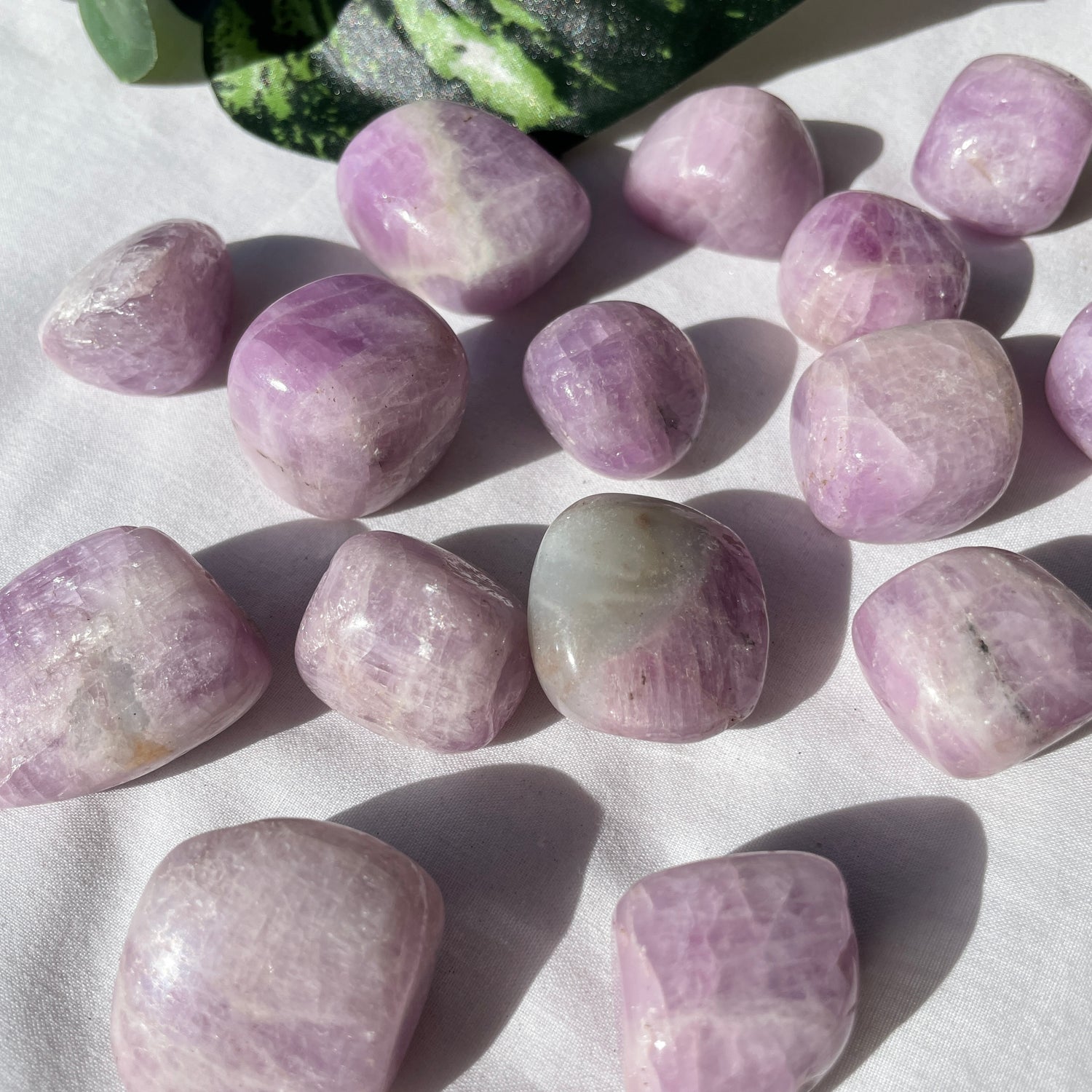 Kunzite Lge Tumbled