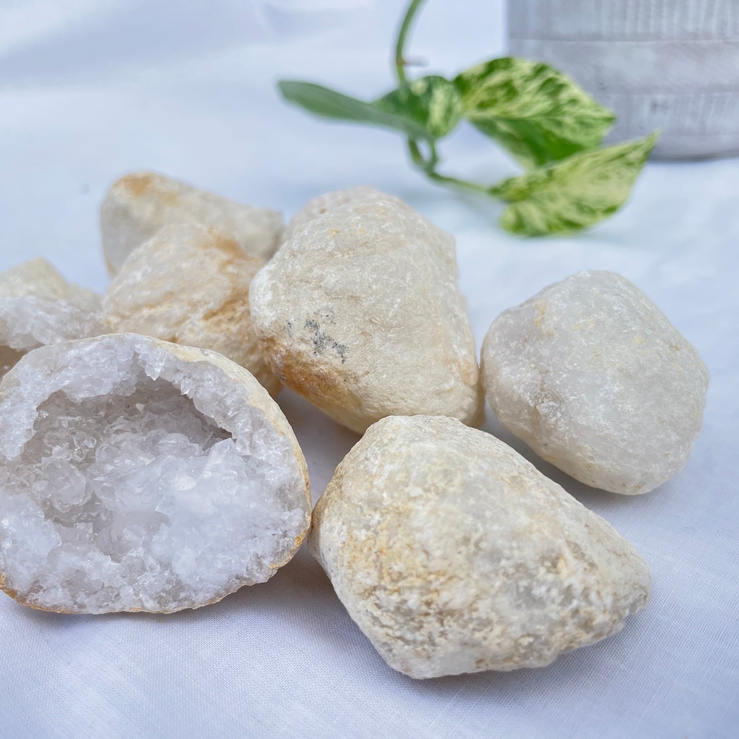 Clear Quartz Geode Uncracked Small
