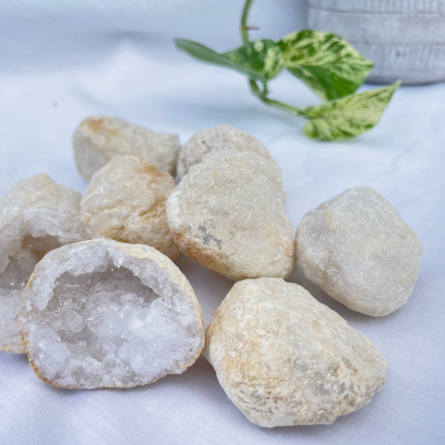 Clear Quartz Geode Uncracked Small