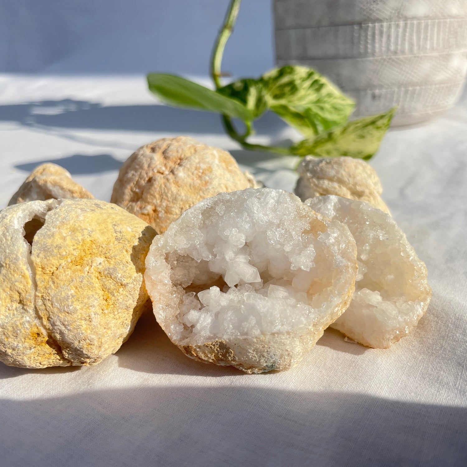 Clear Quartz Geode Pair Small