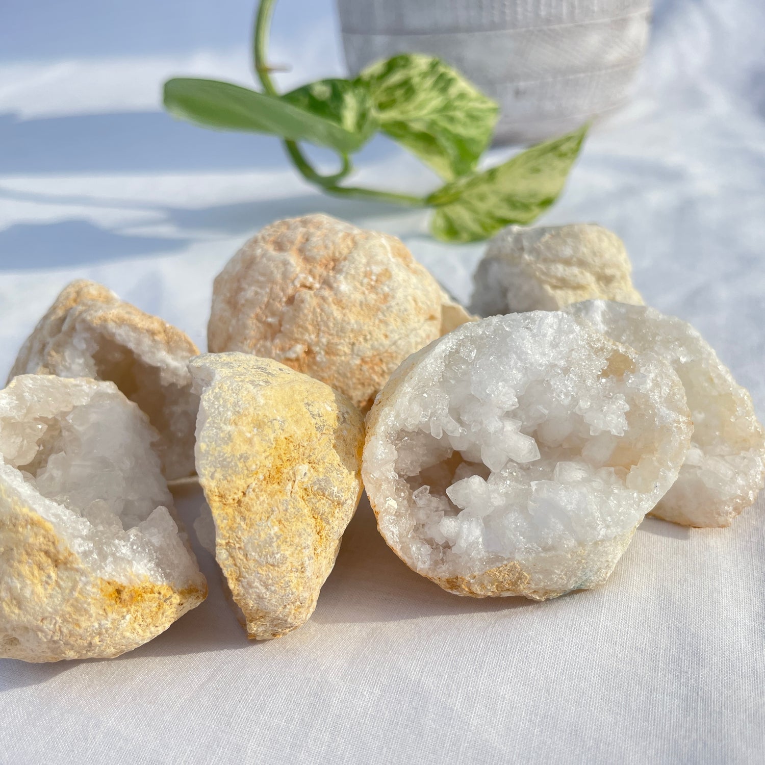 Clear Quartz Geode Pair Small