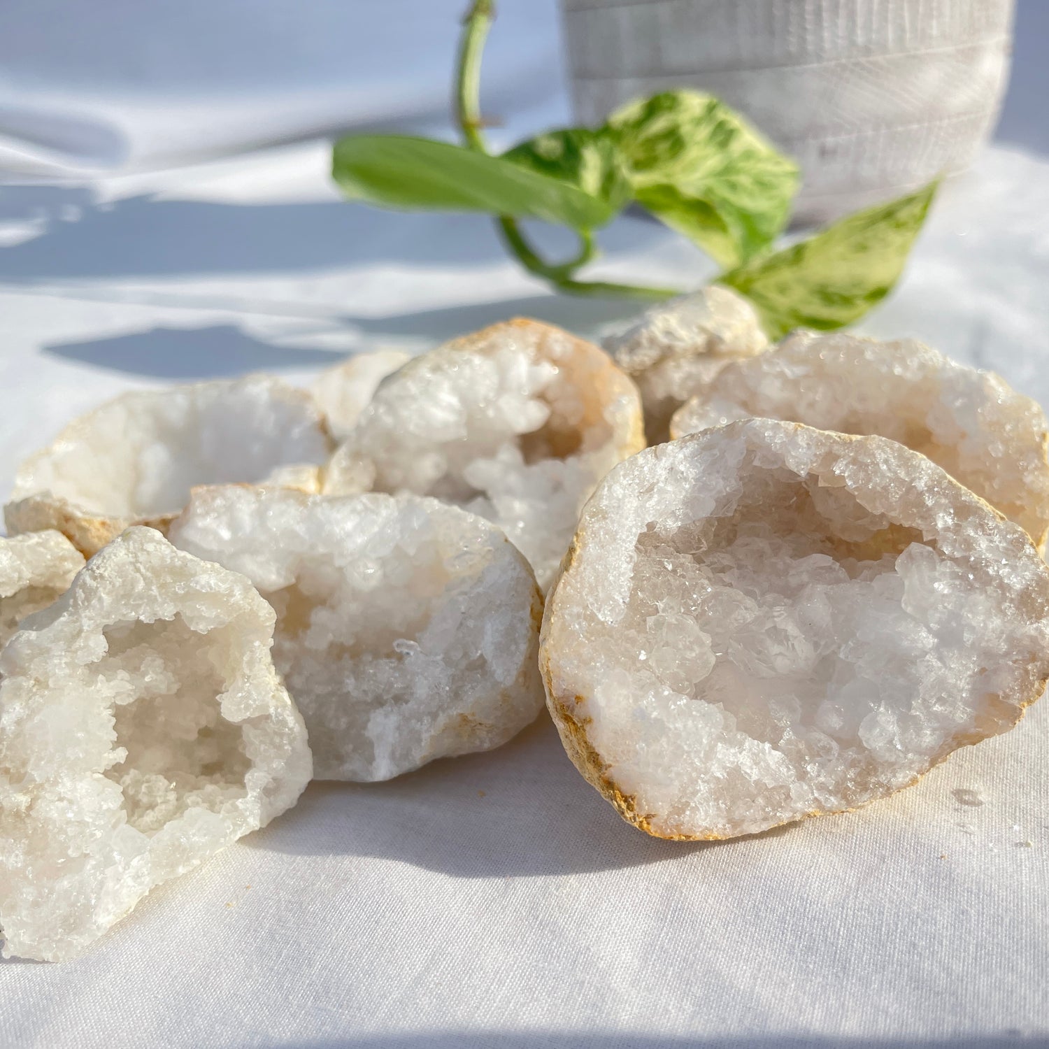 Clear Quartz Geode Half Small