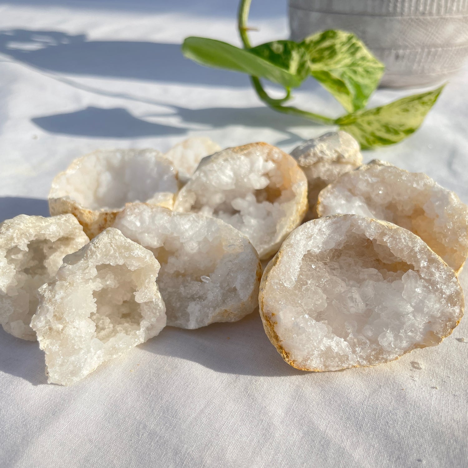 Clear Quartz Geode Half Small