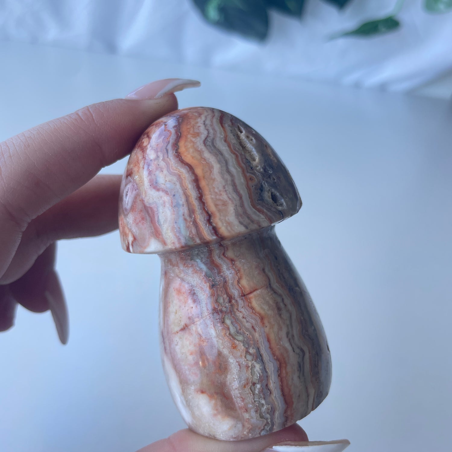 Pink Crazy Lace Agate Mushroom 67