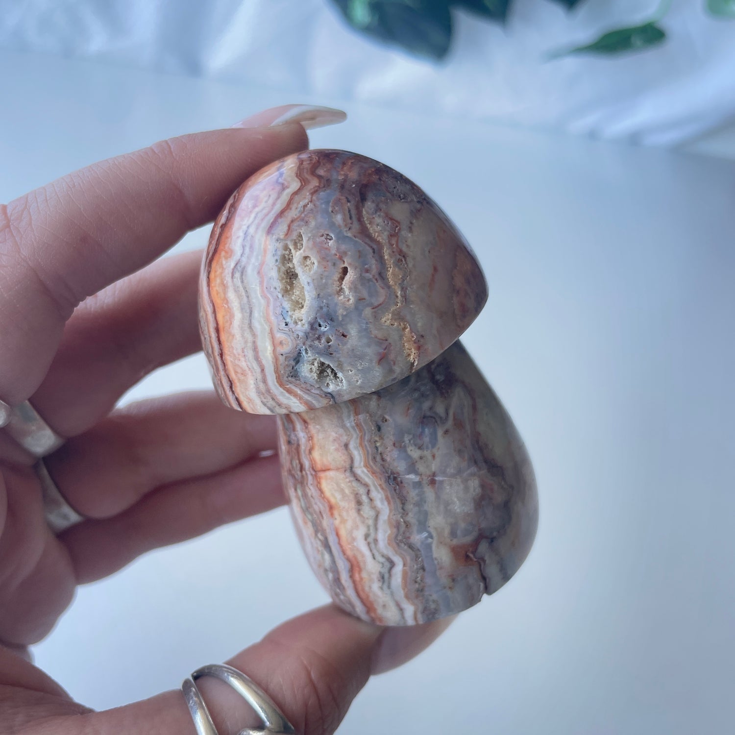 Pink Crazy Lace Agate Mushroom 67