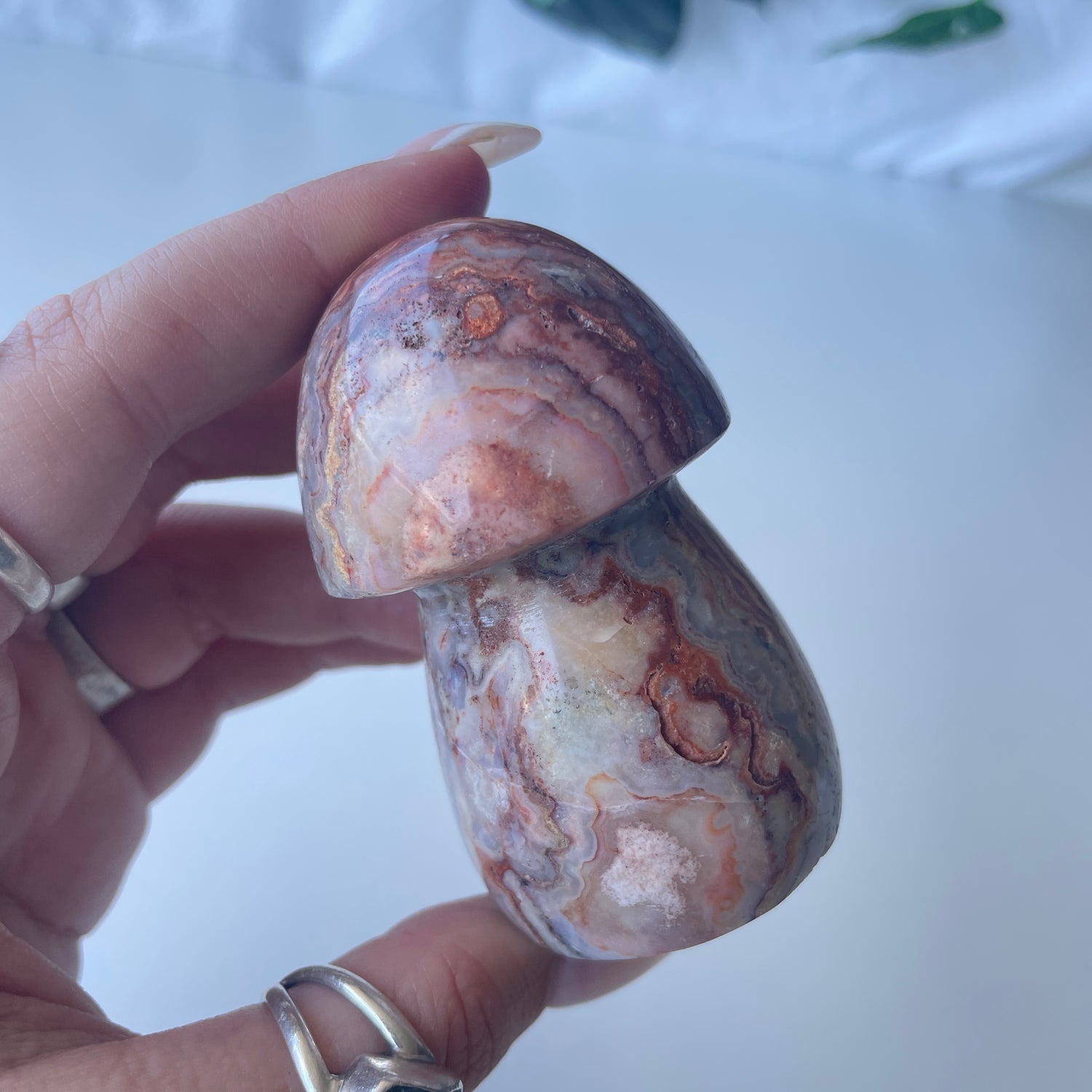Pink Crazy Lace Agate Mushroom 67