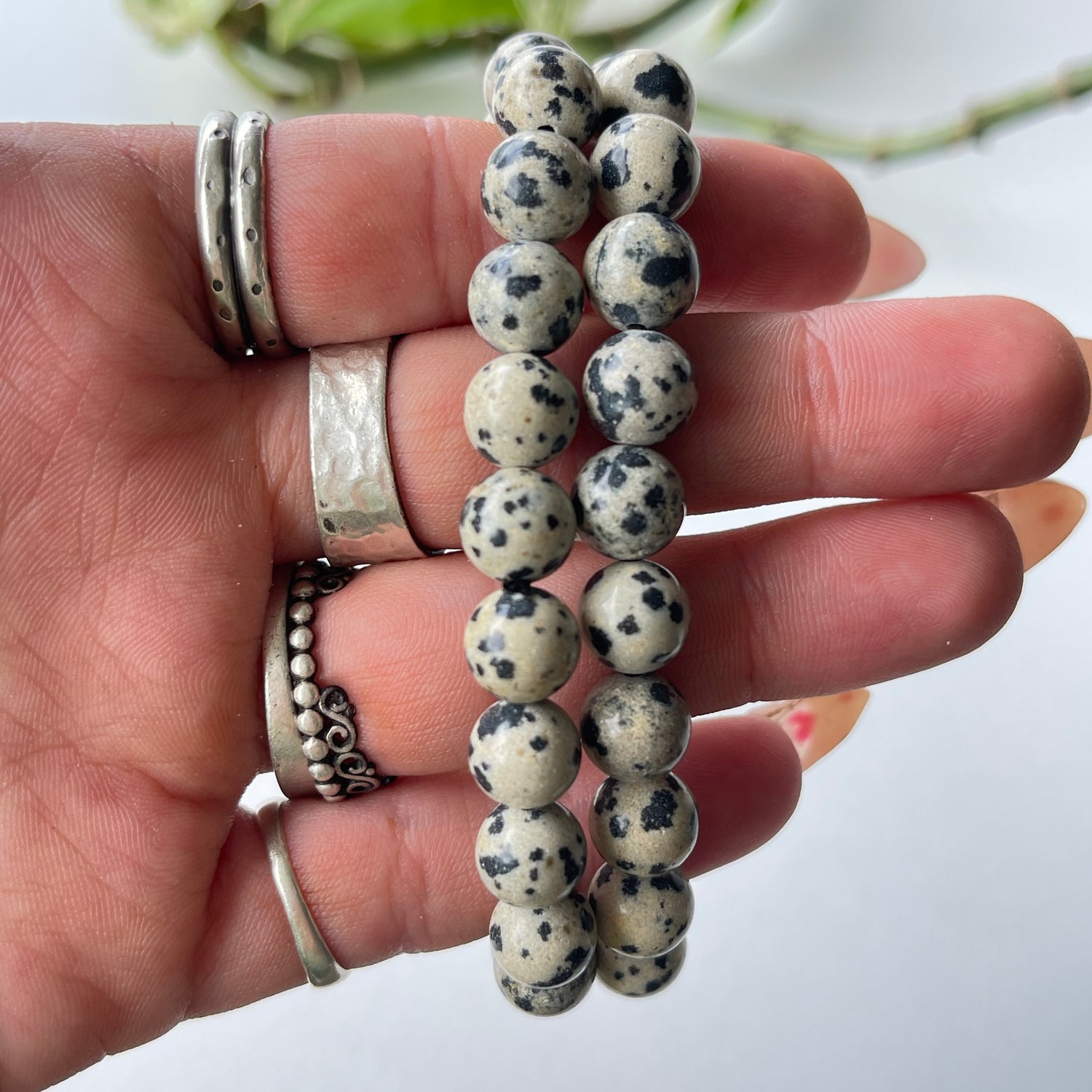 Dalmatian Jasper Med Bracelet