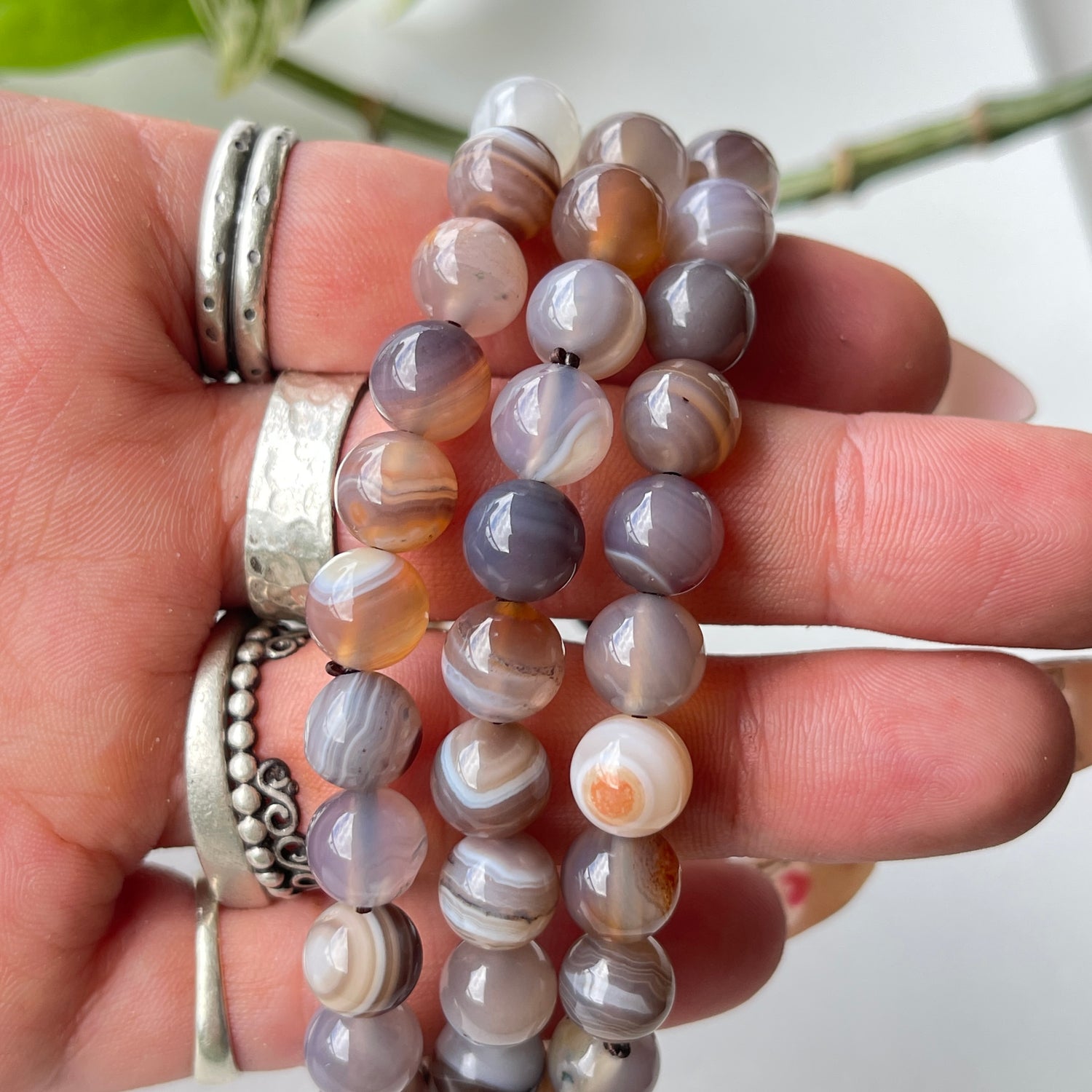Botswana Agate Med Bracelet