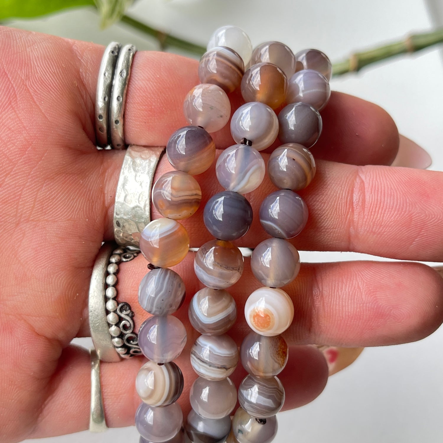 Botswana Agate Med Bracelet