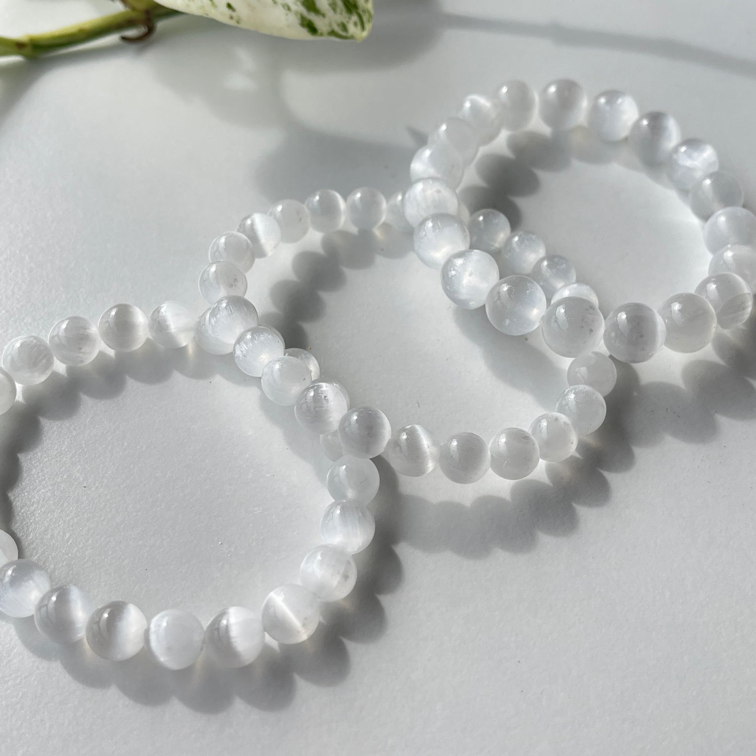 Selenite Med Bracelet - FRAGILE & DO NOT GET WET