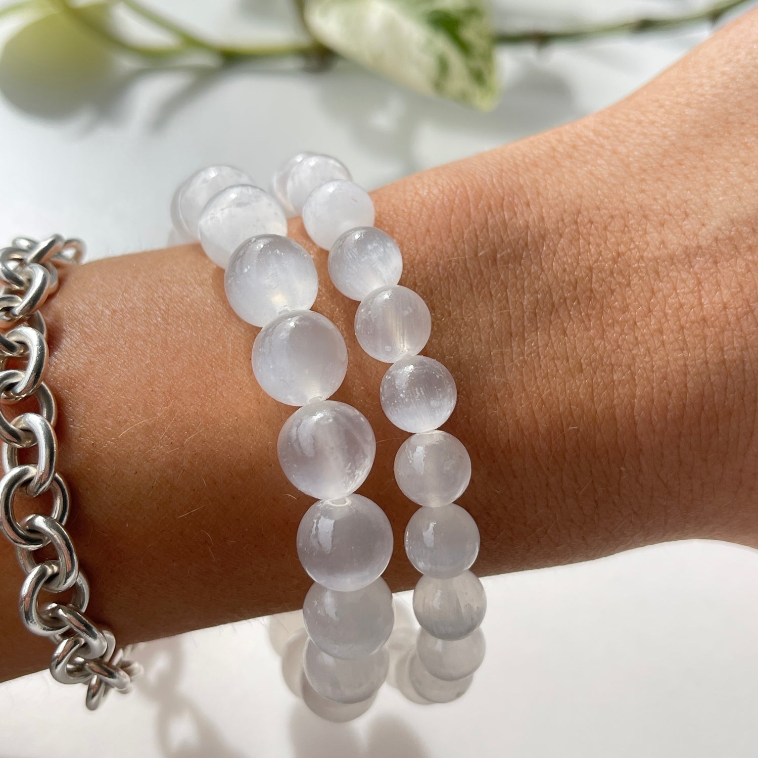 Selenite Med Bracelet - FRAGILE & DO NOT GET WET
