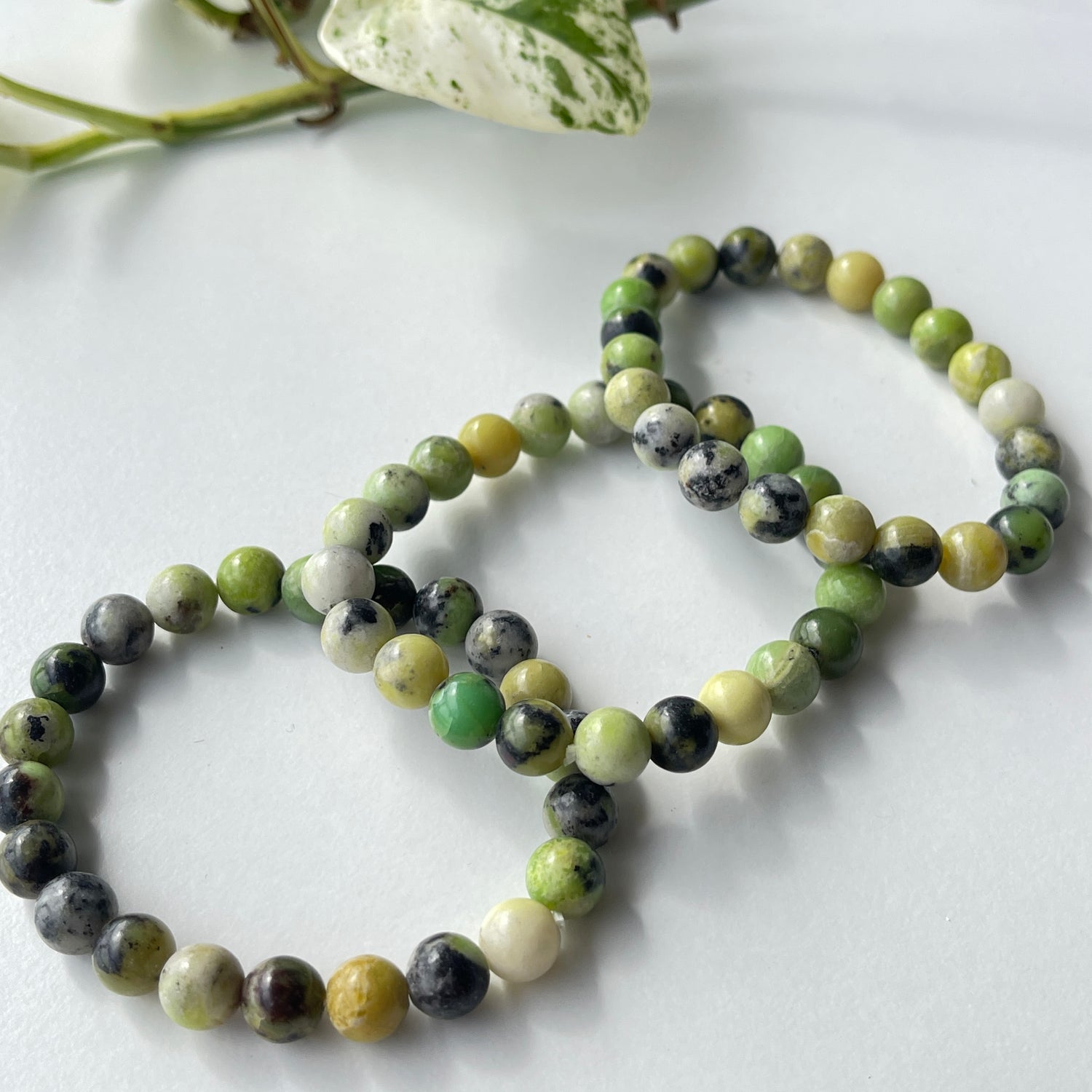 Chrysoprase Medium Bracelet