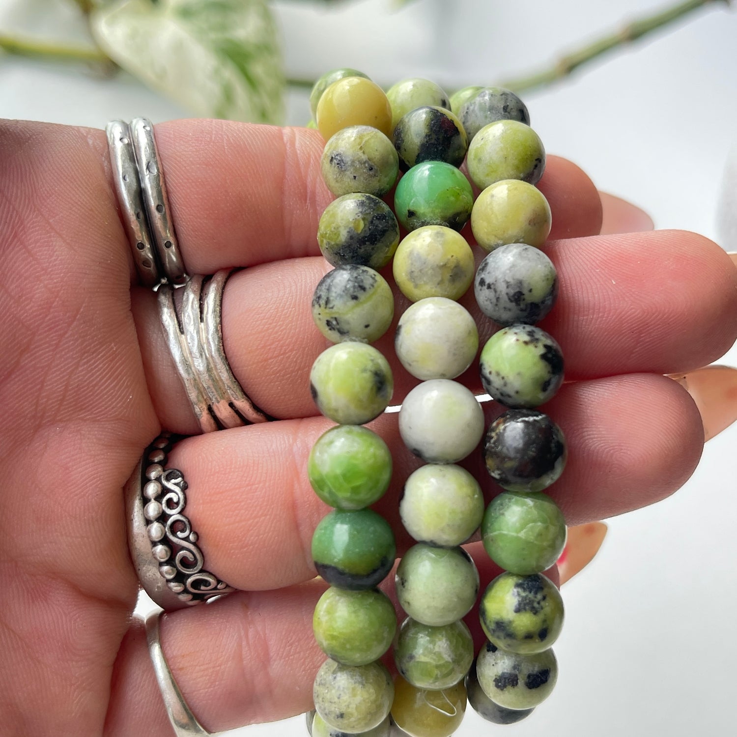 Chrysoprase Medium Bracelet