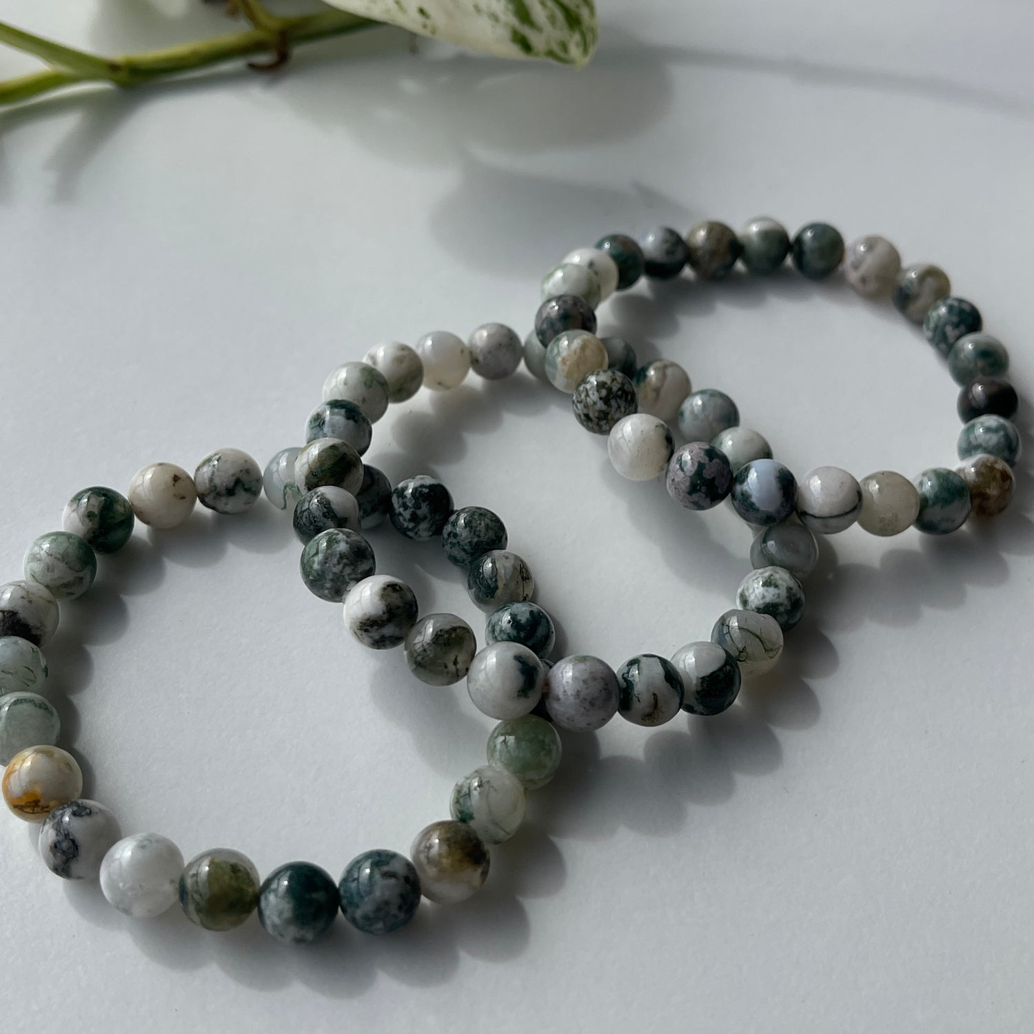 Tree Agate Med Bracelet