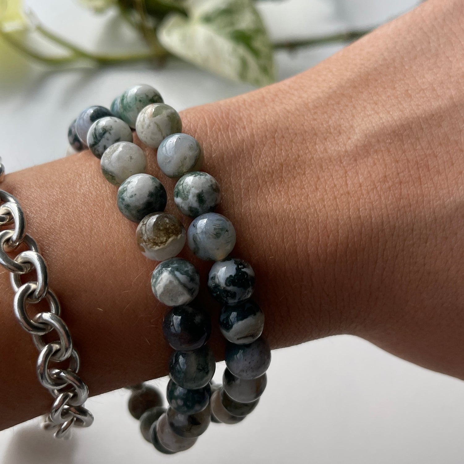 Tree Agate Med Bracelet