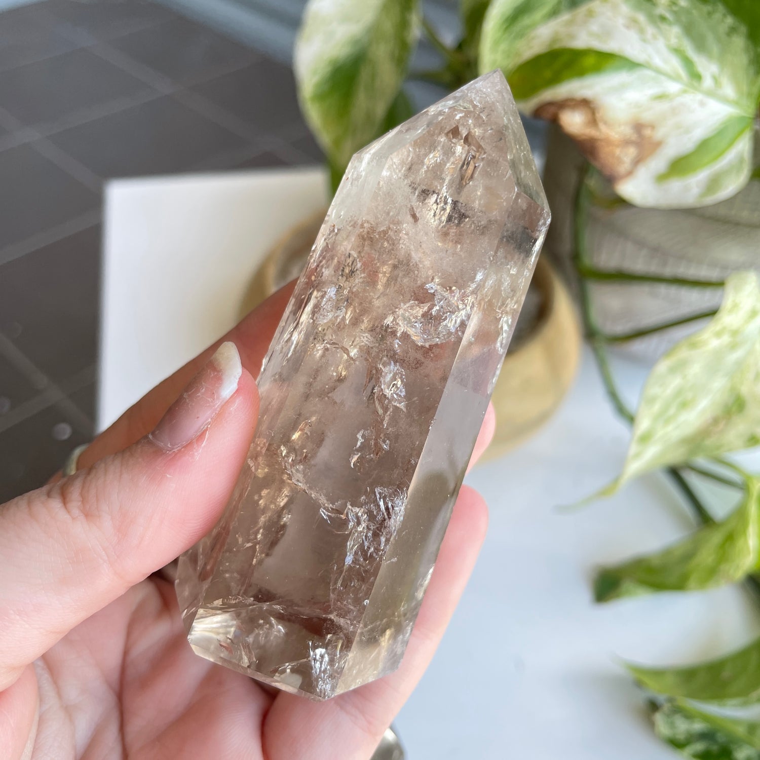 Smoky Quartz Generator Med Assorted