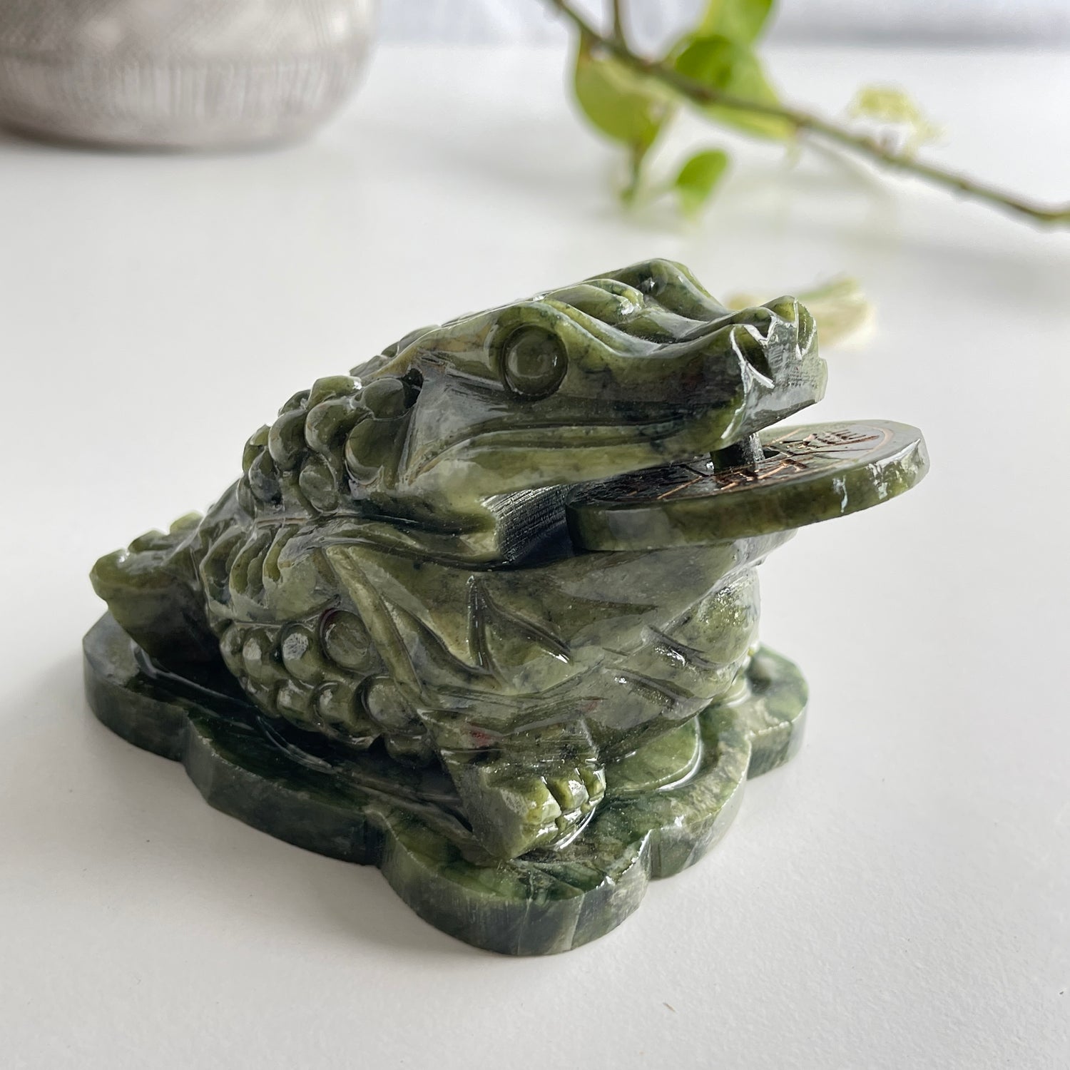 Serpentine Money Frog Toad