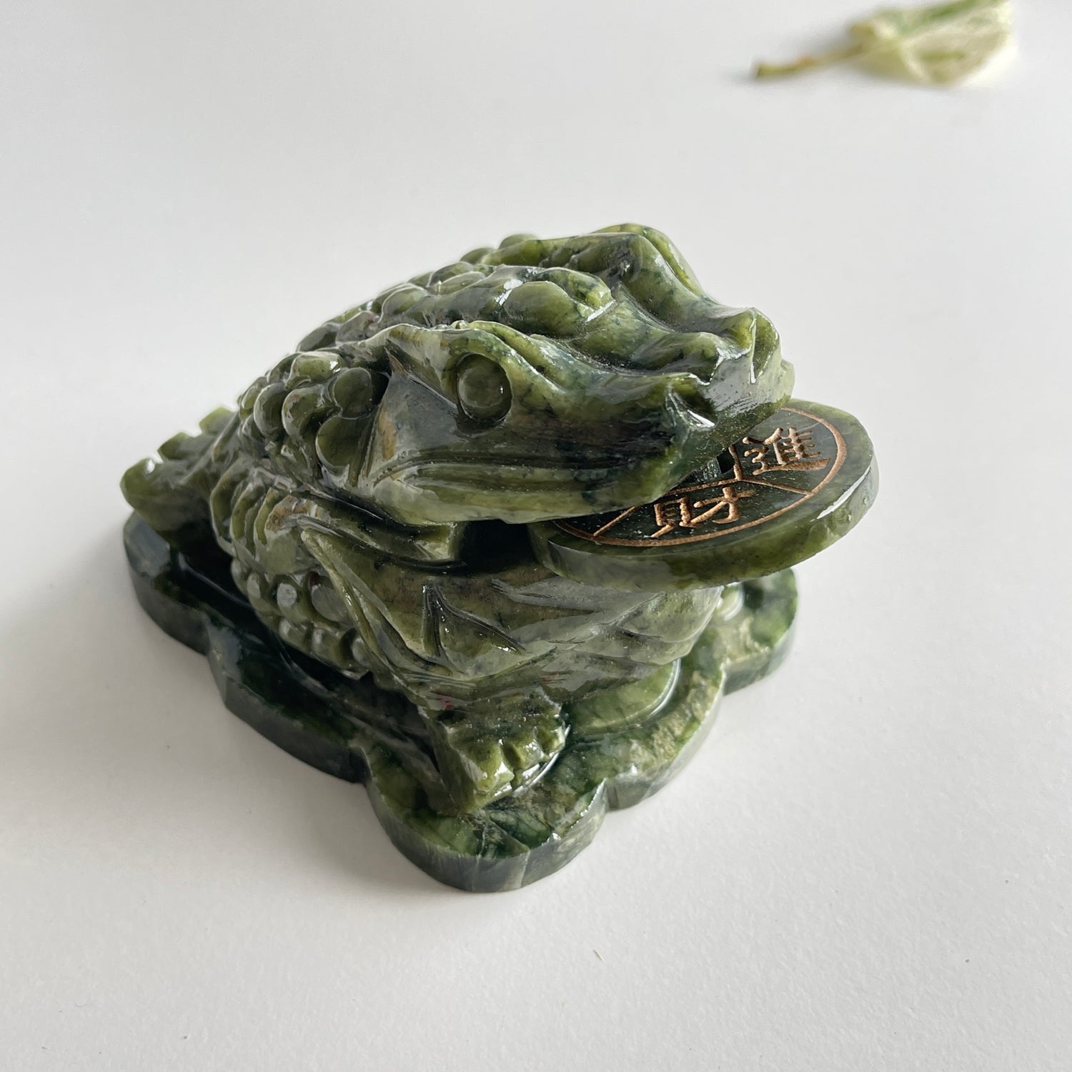 Serpentine Money Frog Toad