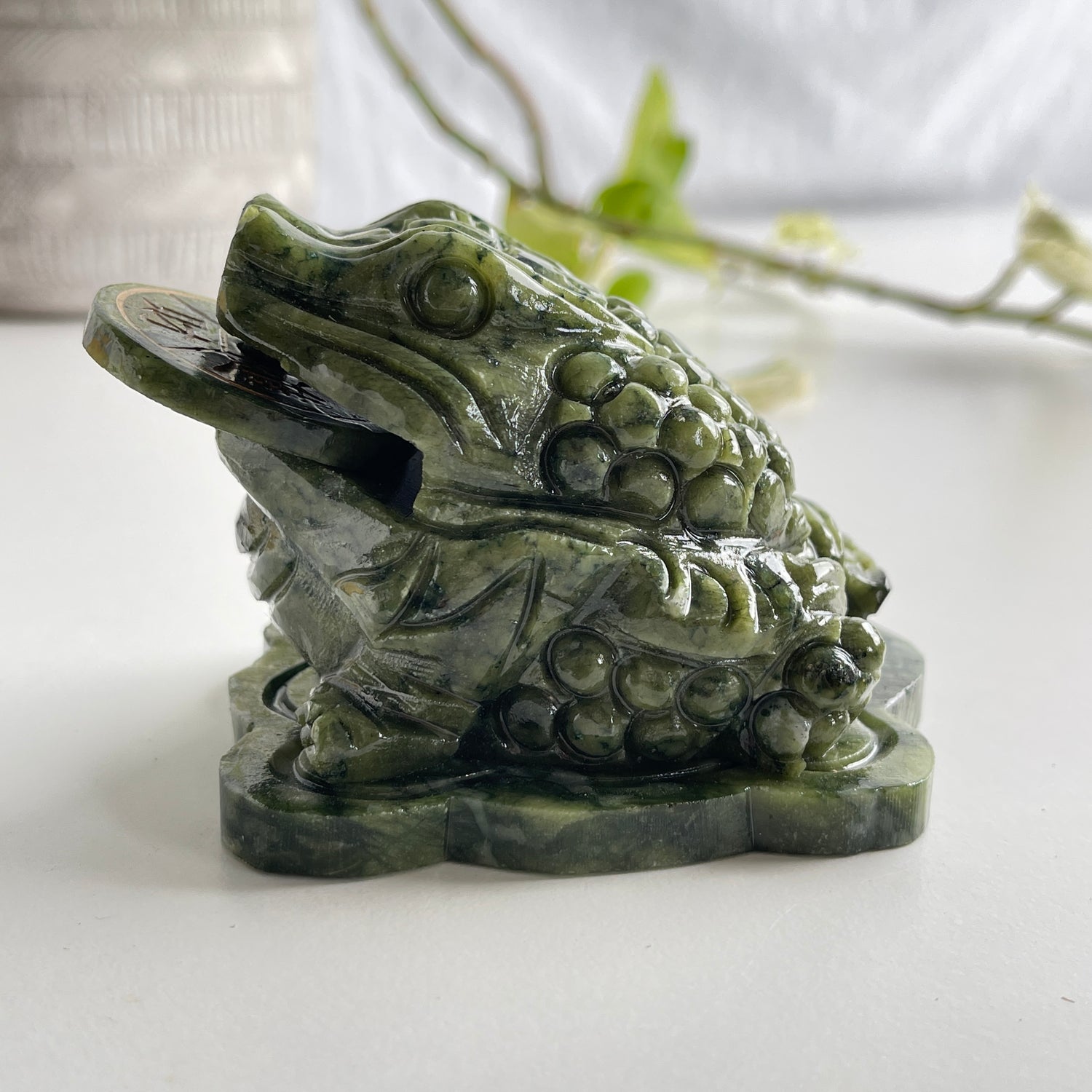 Serpentine Money Frog Toad
