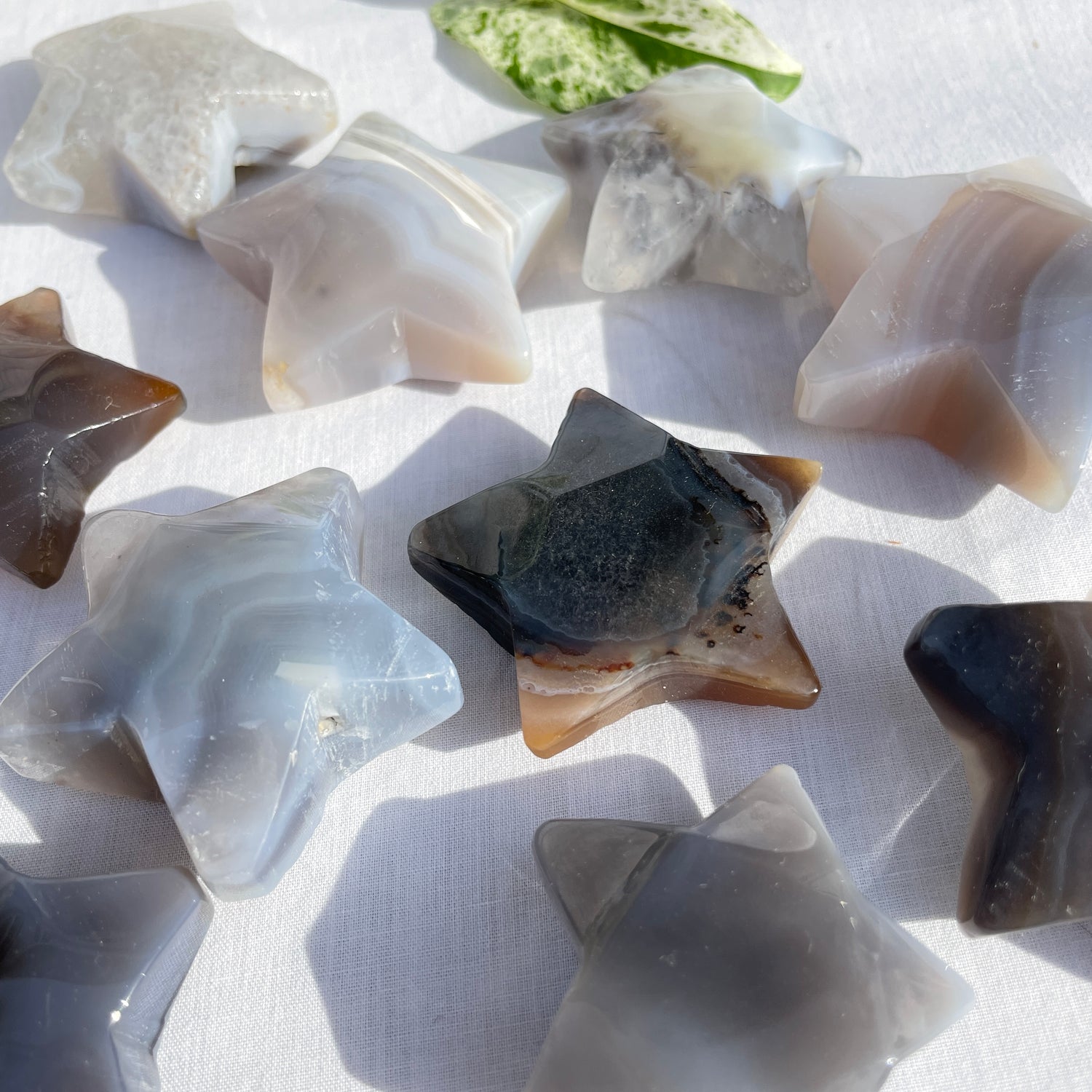 Agate Star Assorted