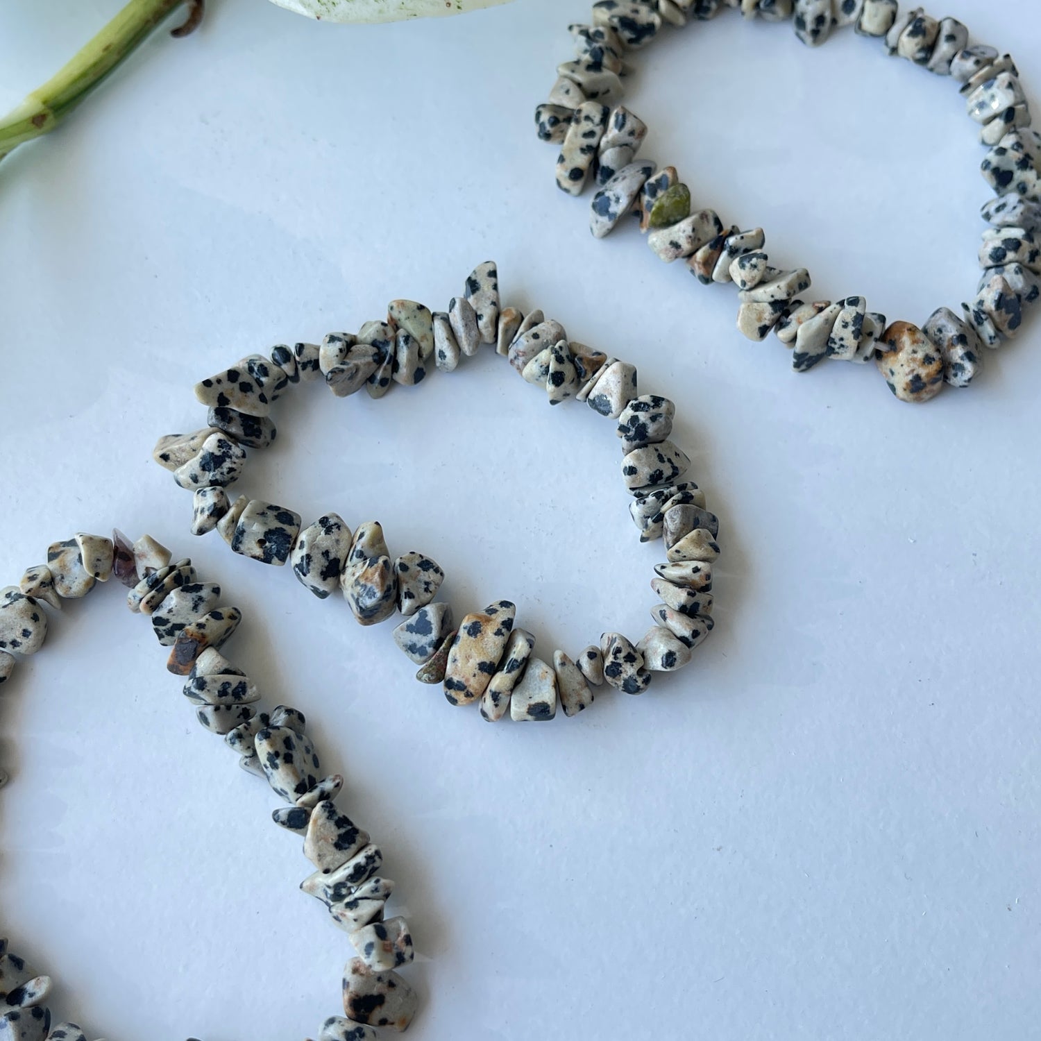 Dalmatian Jasper Chip Bracelet