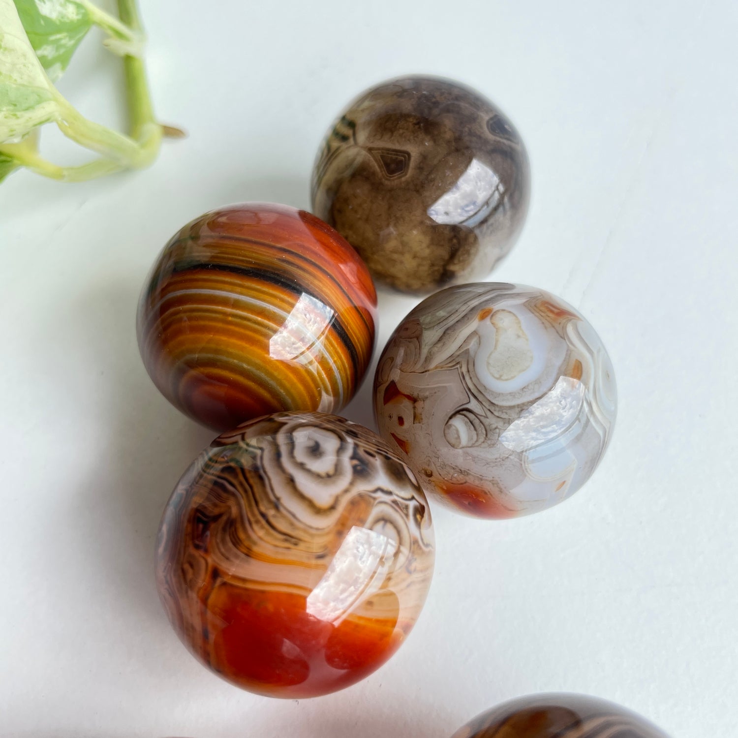 Sardonyx Sphere Mini