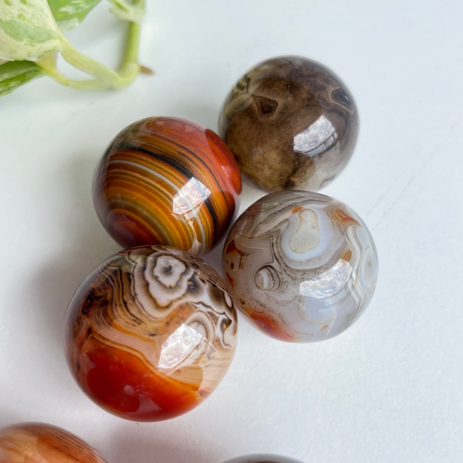Sardonyx Sphere Mini